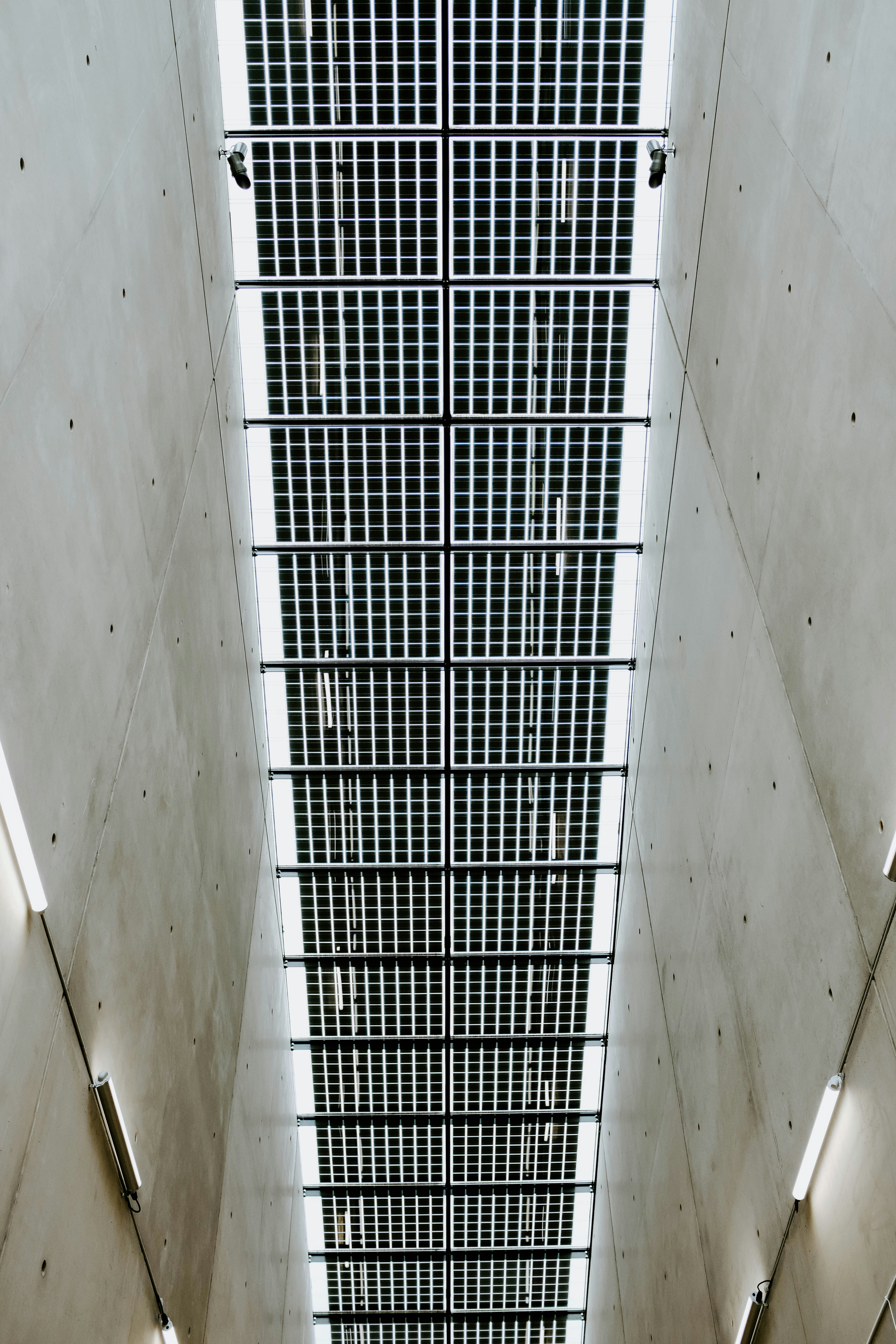 Photo by adrienolichon