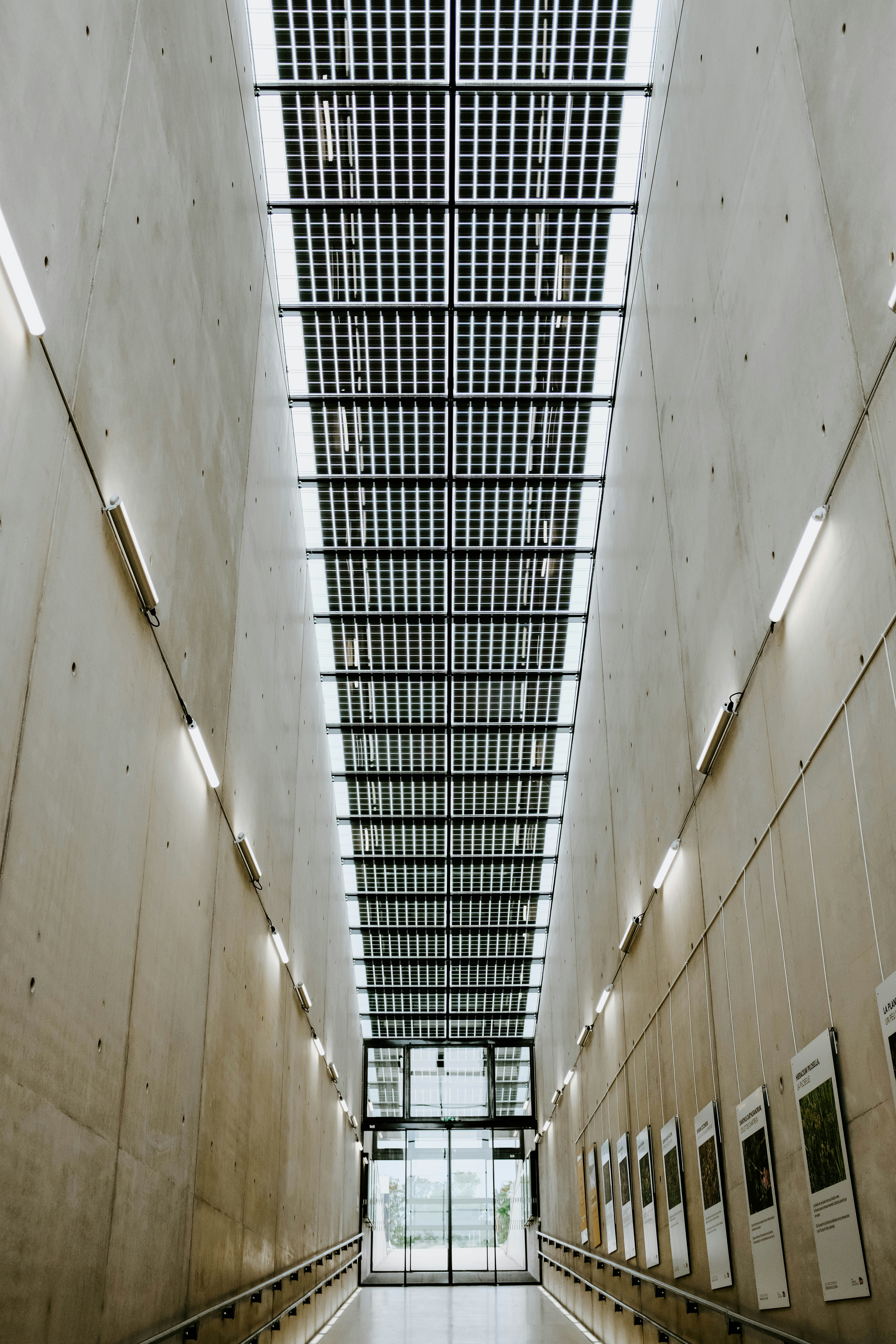 Photo by adrienolichon