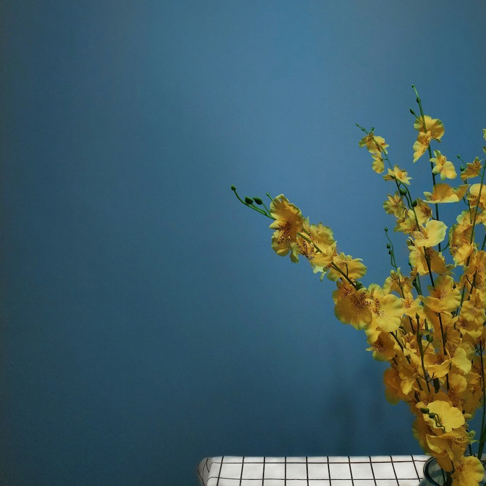 Fotografia dal basso di fiori gialli durante il giorno