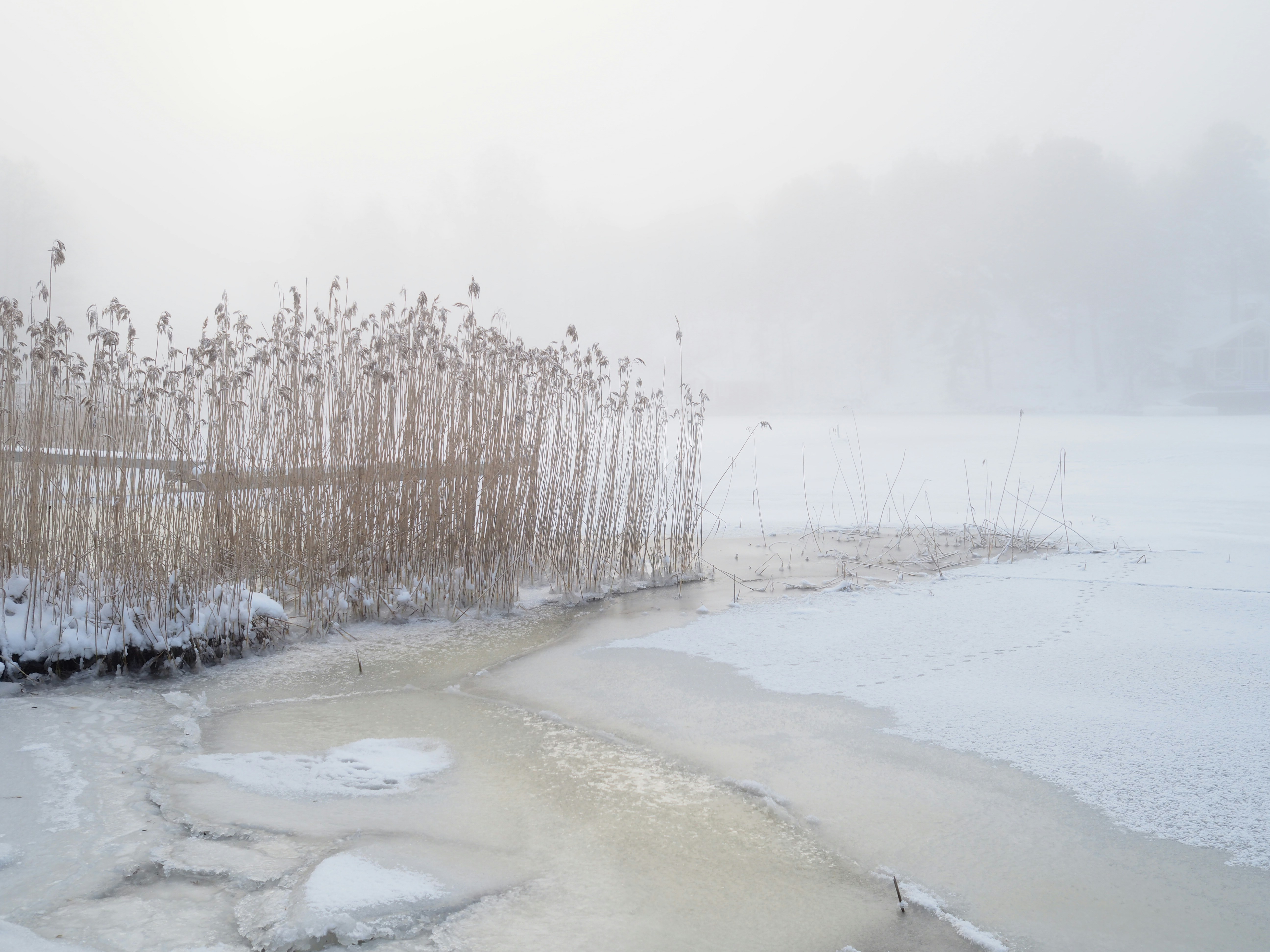 Photo by jennytheolin