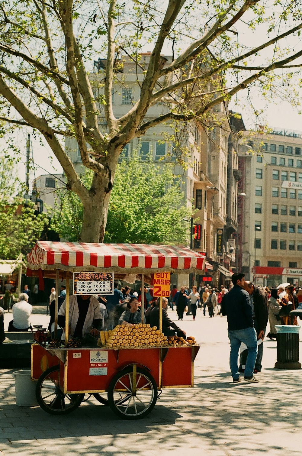 red kiosk beside tree