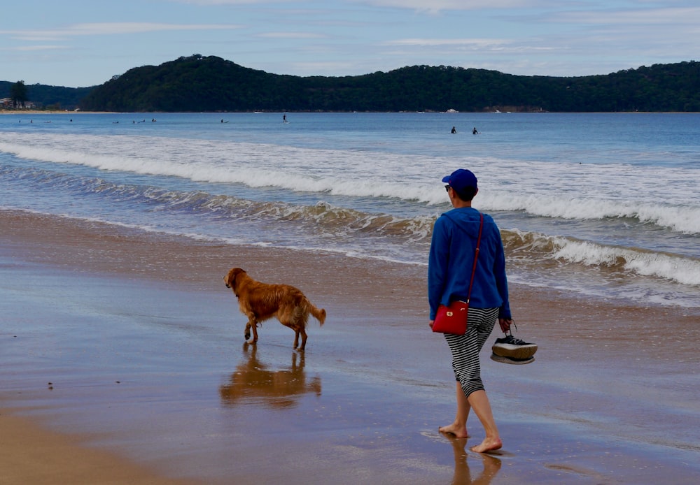 person walking with adult golden retriever on seashore