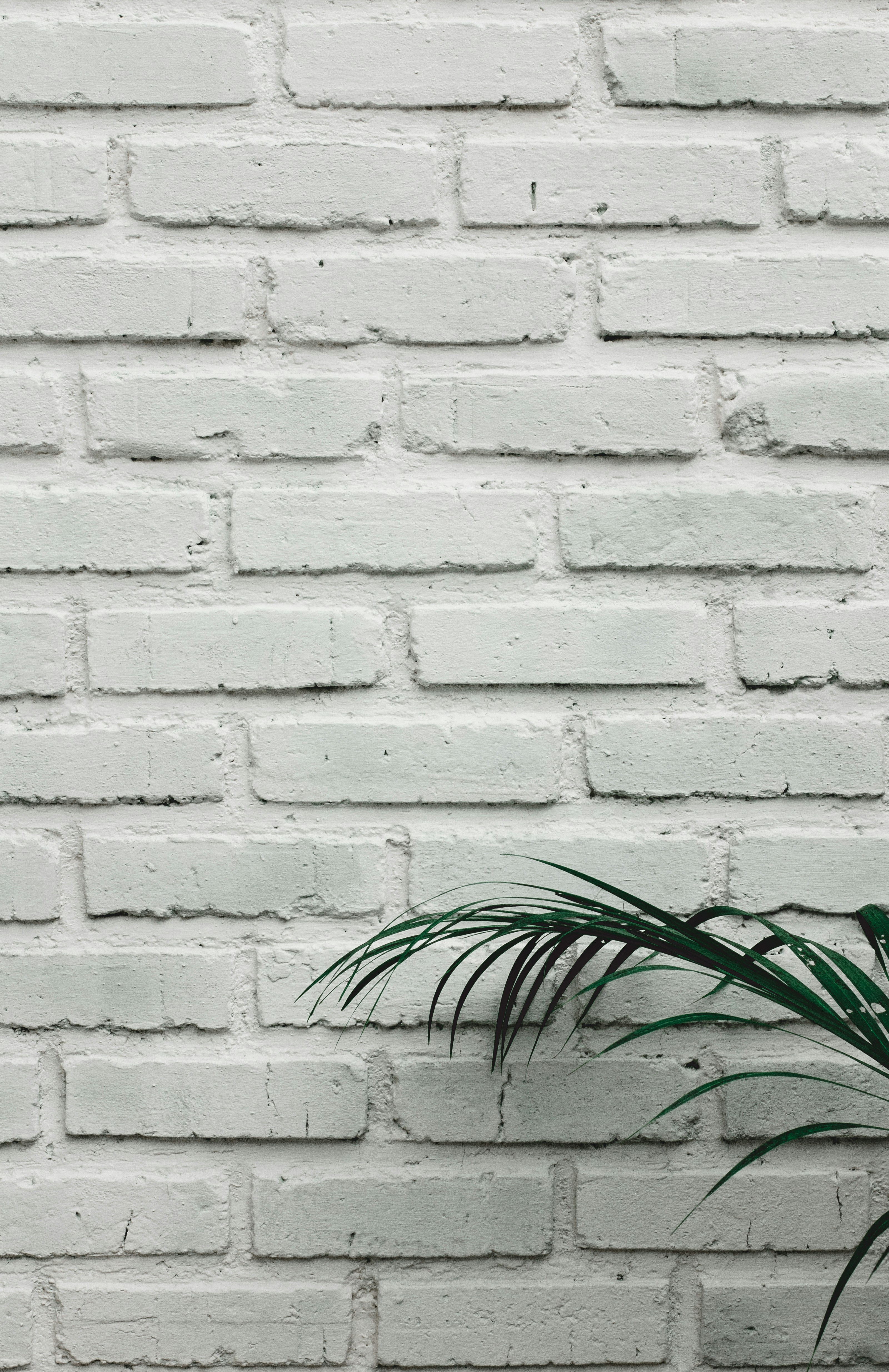 Photo by ekarizal_fikri