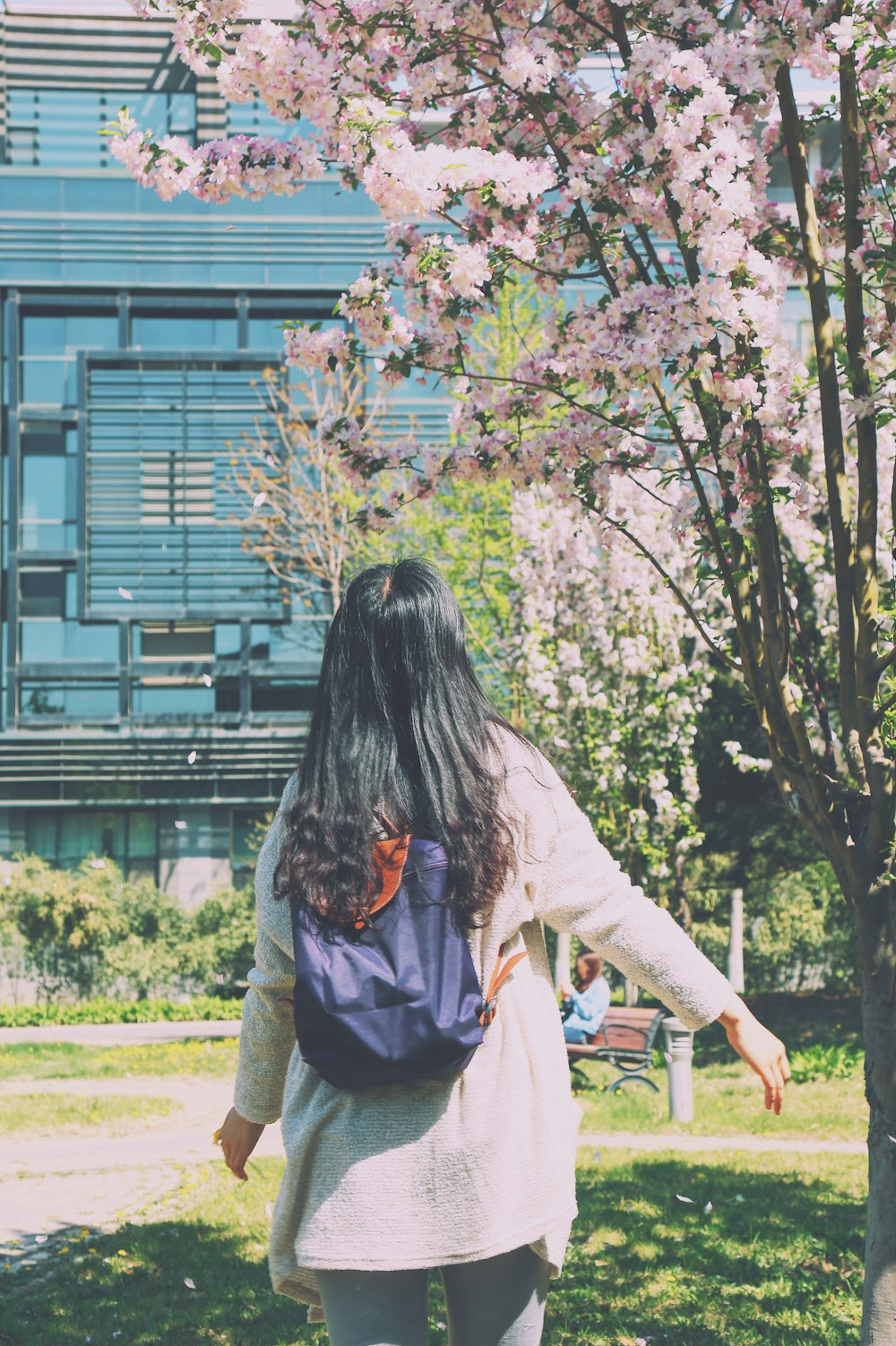 woman walking towards cherry blossom tree
