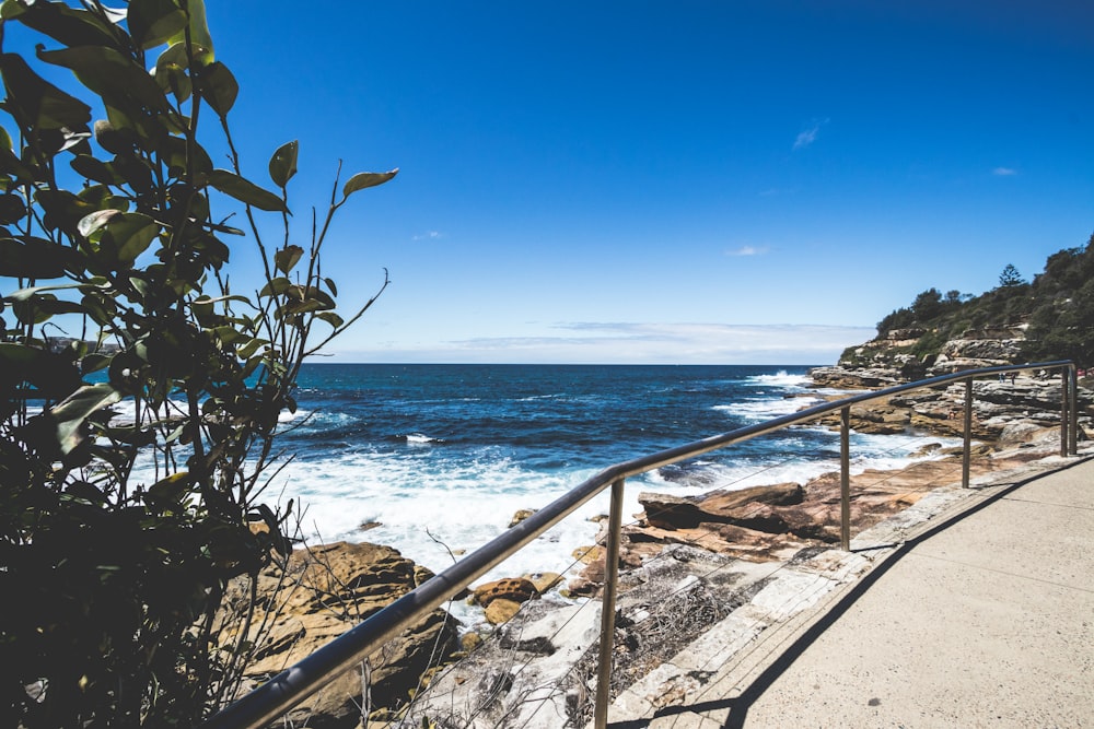 ocean view near concrete road