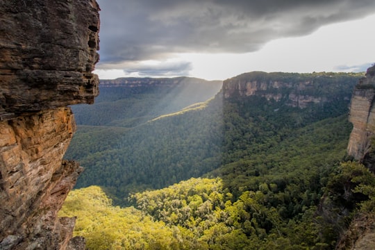 forest and rocky mountains during day in Blue Mountains Australia