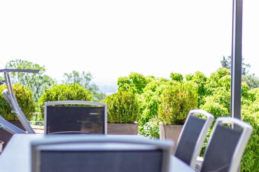 Mesa con sillas cerca de planta verde al aire libre