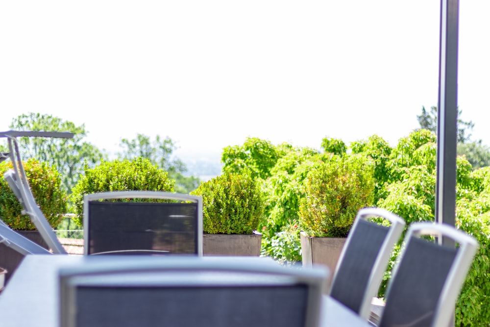 table with chairs near green outdoor plant