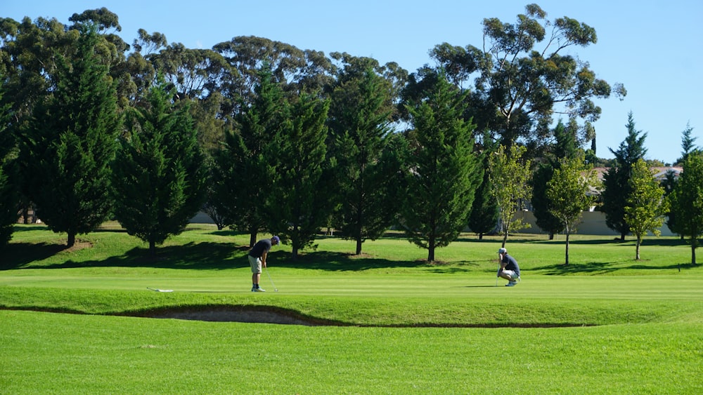 two persons near trees