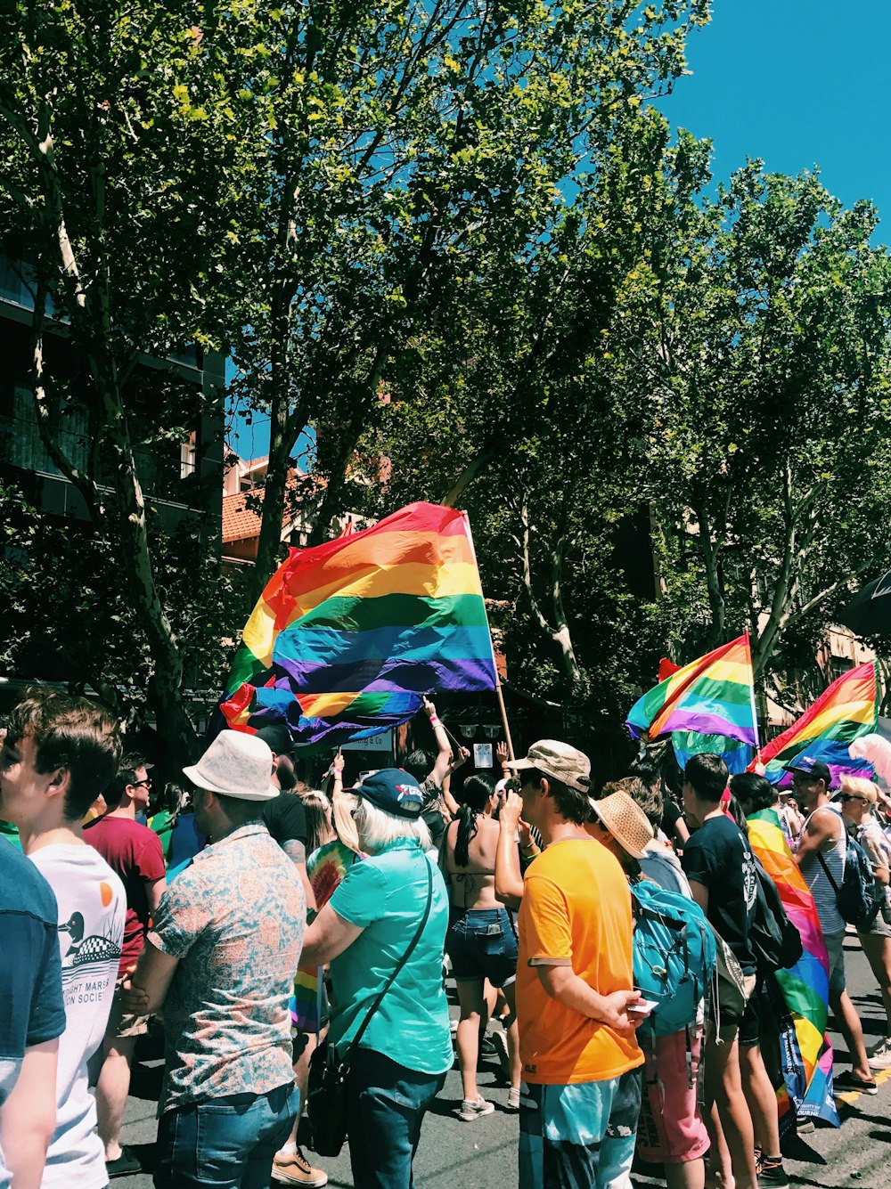 multicolored banners