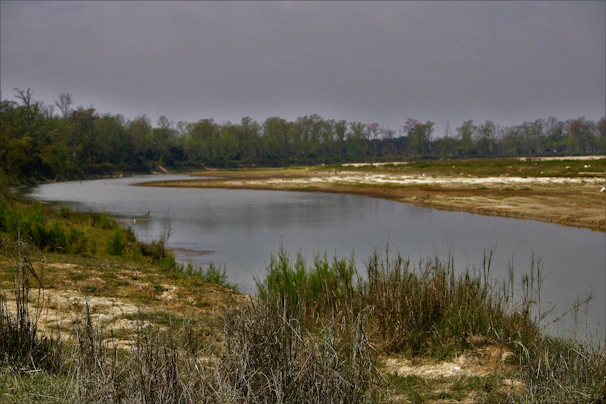 A serene river flowing through a floodplain with engineered levees blending into the natural landscape.