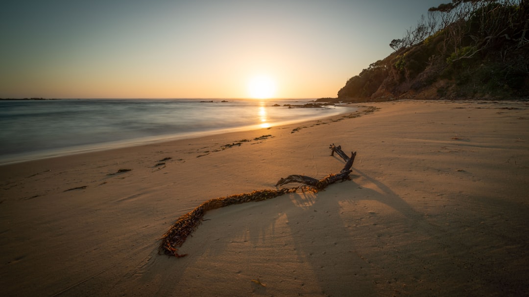 view of sea during golden hour