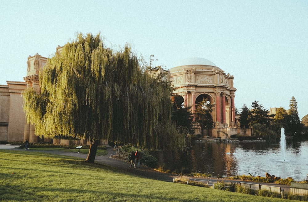 green trees beside brown dome building near body of water