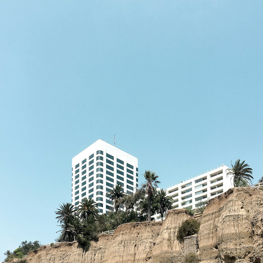 white concrete buildings near coconut trees