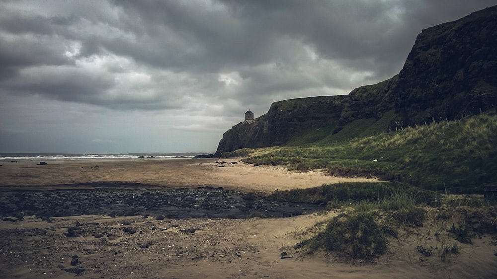 brown seashore