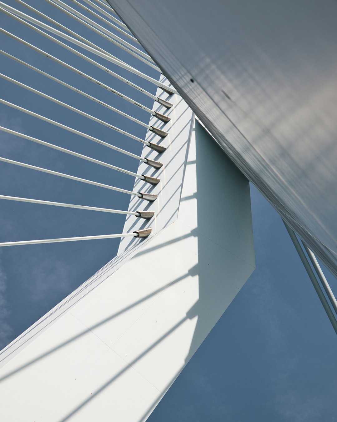 low-angle photography of building