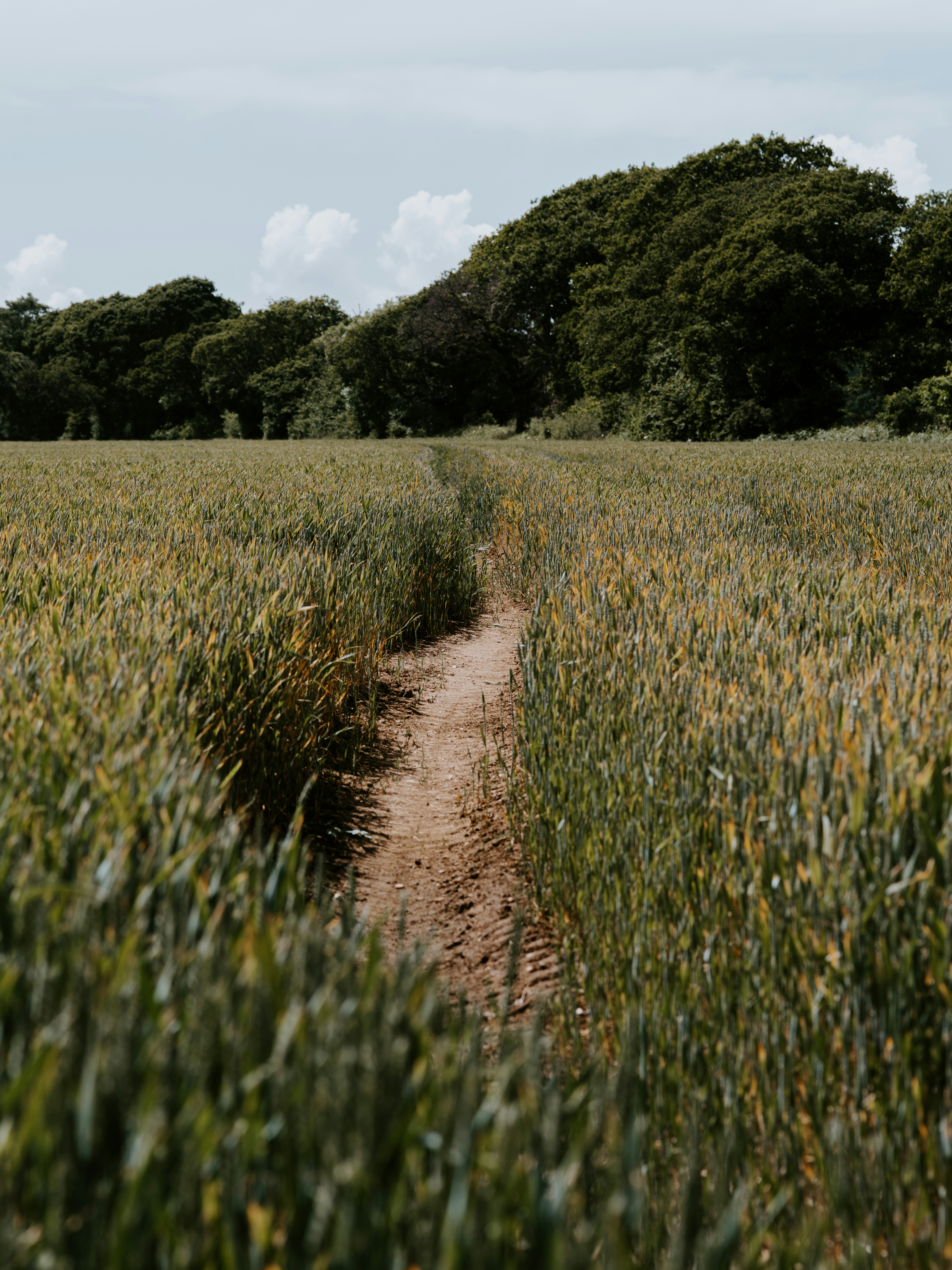 Photo by anniespratt