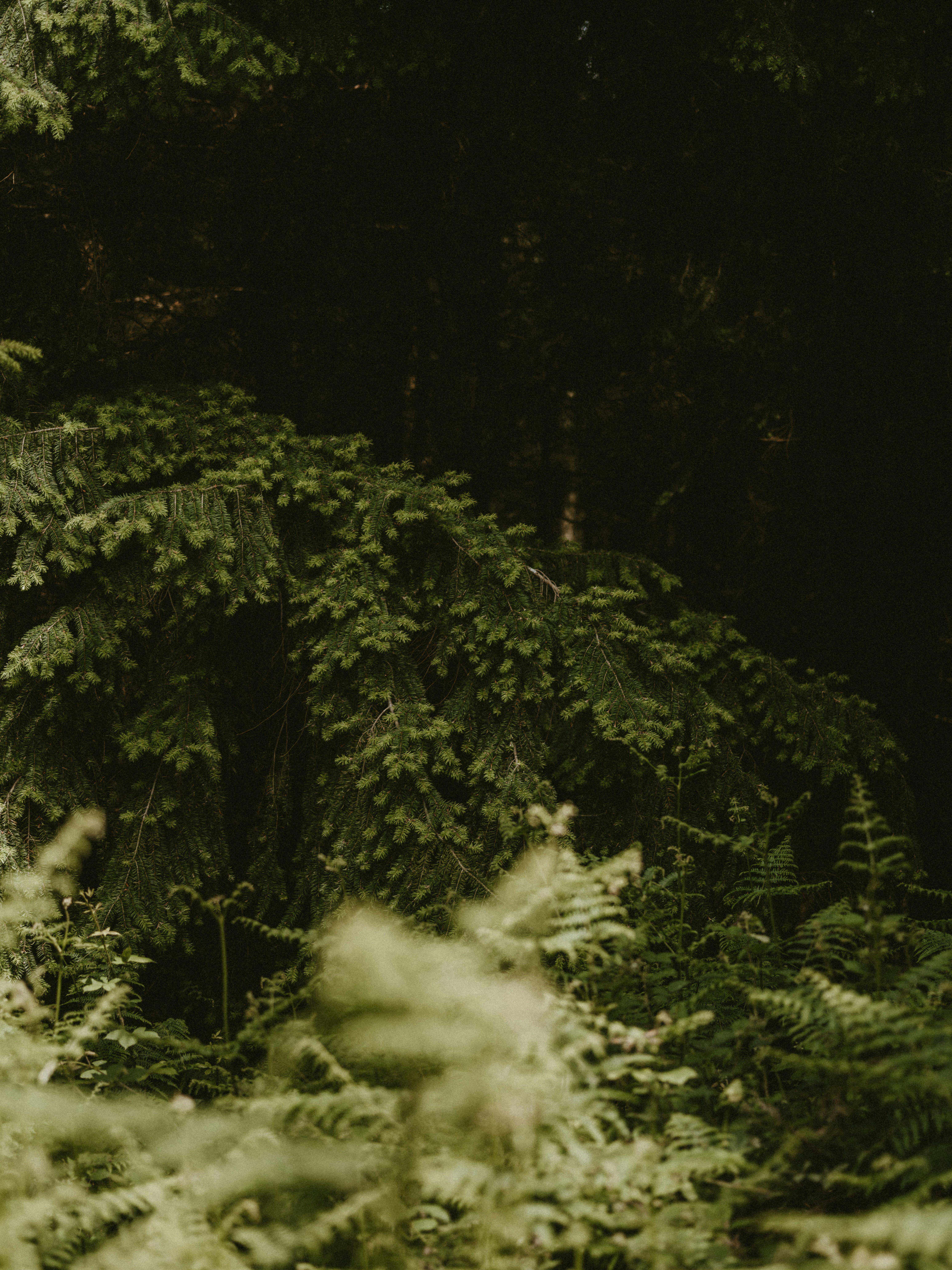 Photo by anniespratt