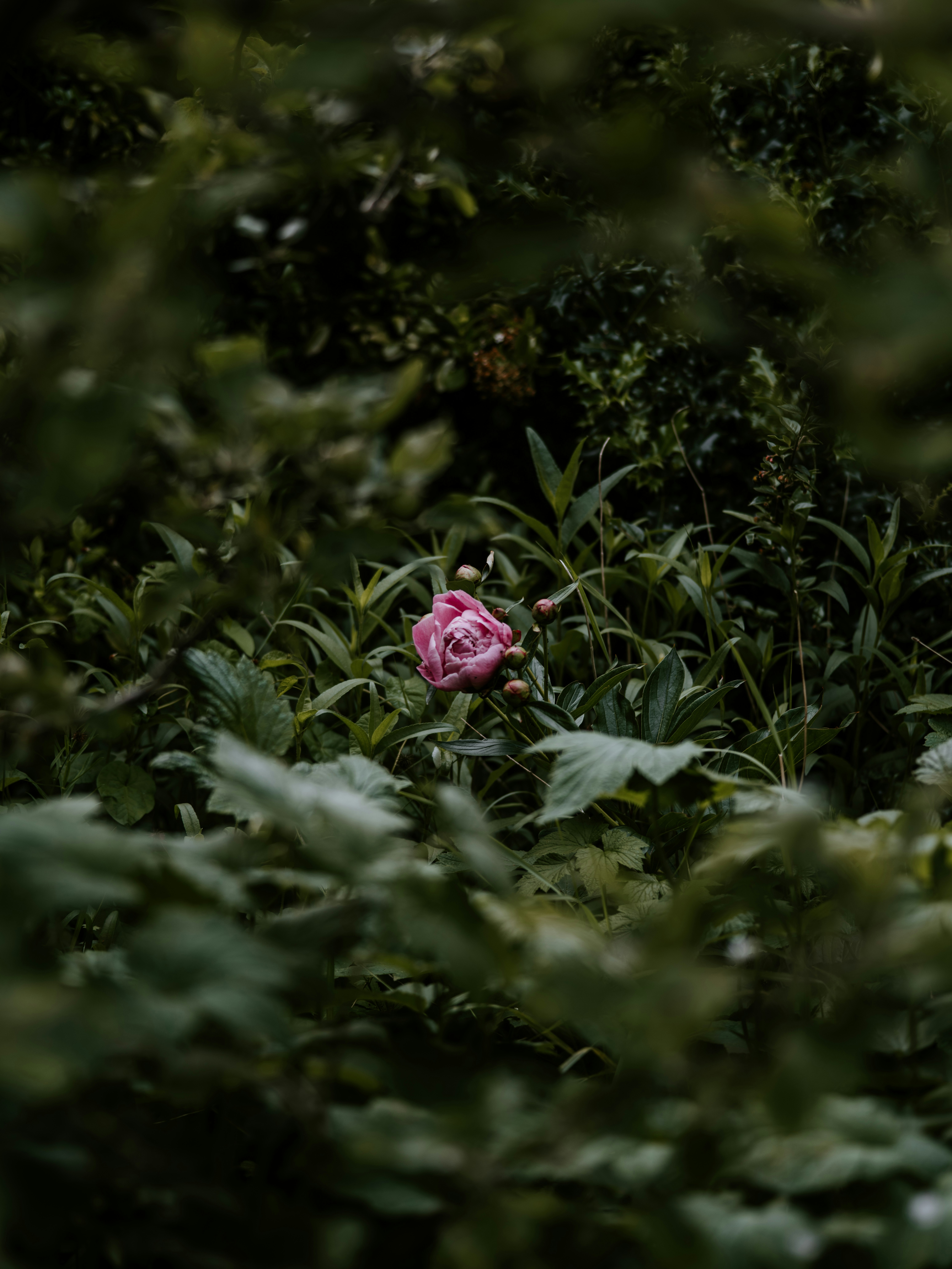 Photo by anniespratt