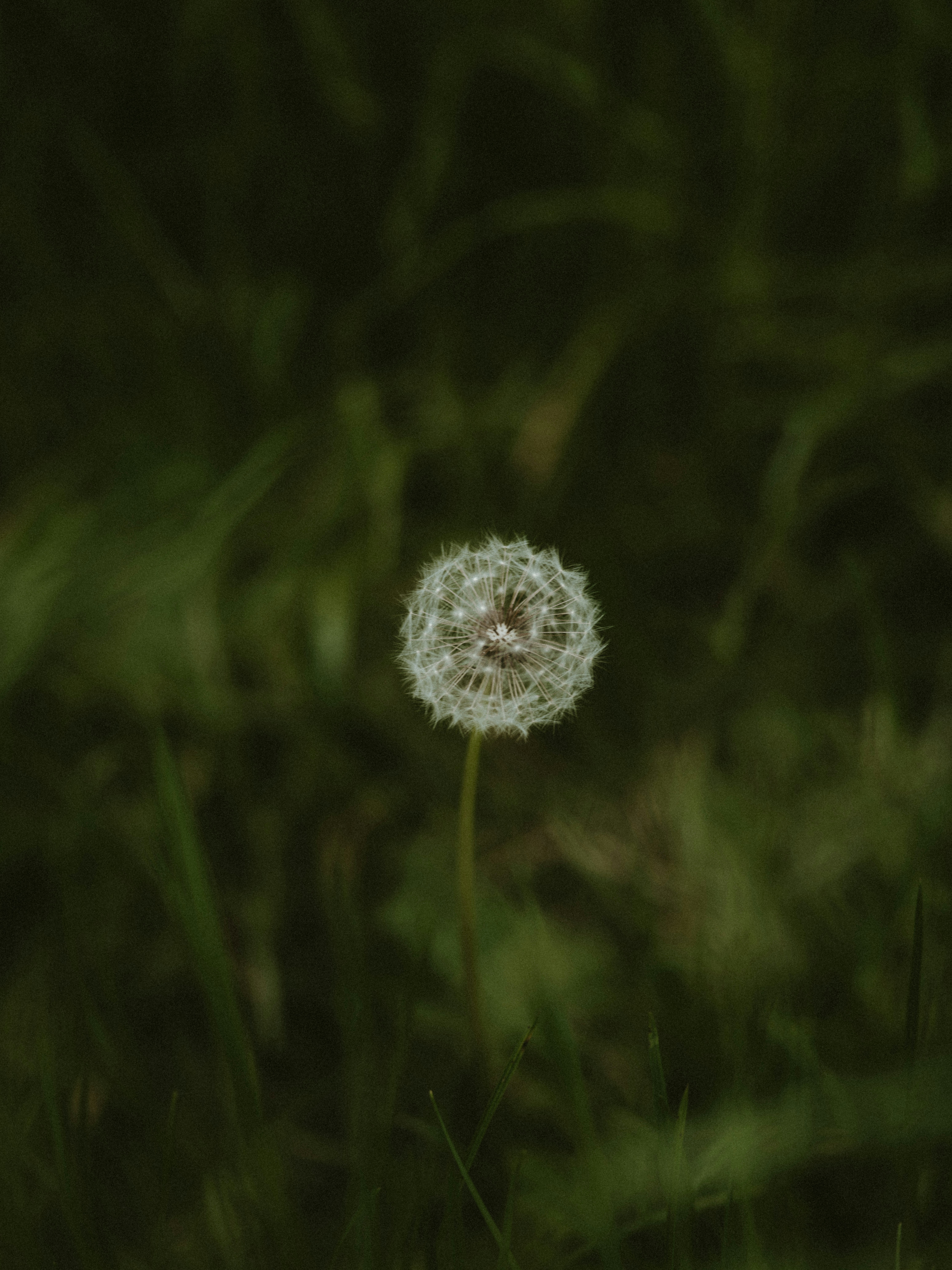 Photo by anniespratt