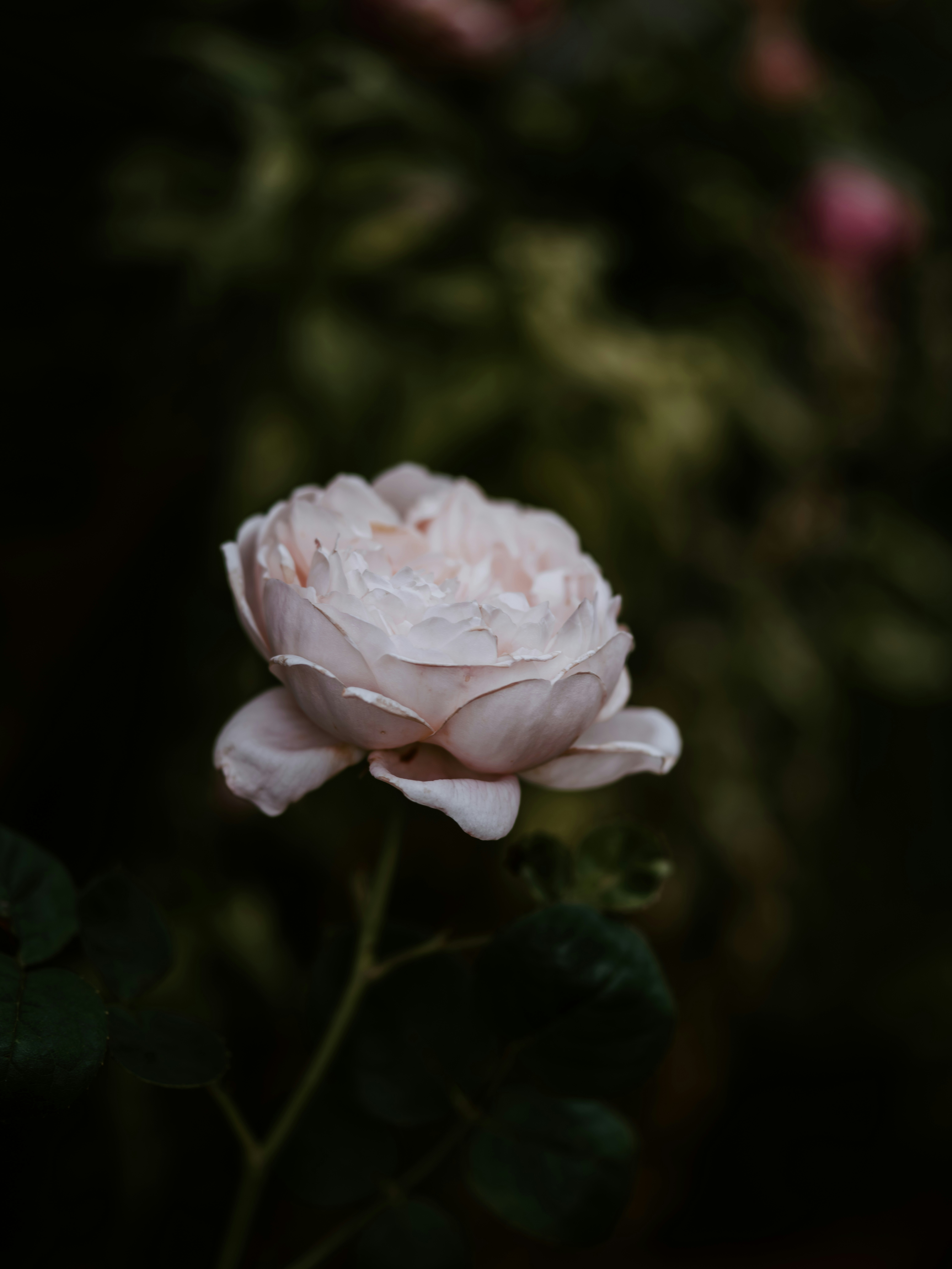 Photo by anniespratt