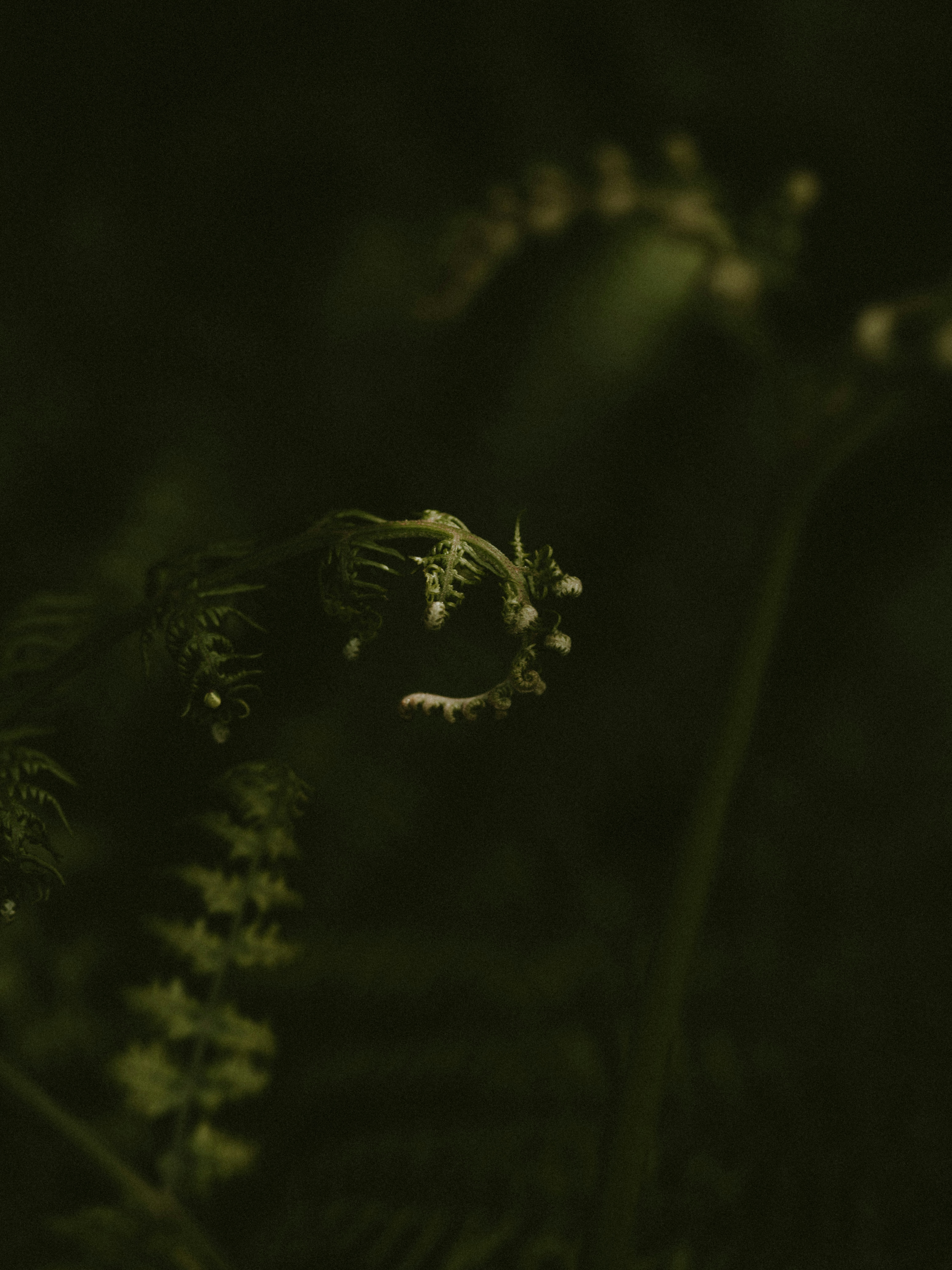 Photo by anniespratt