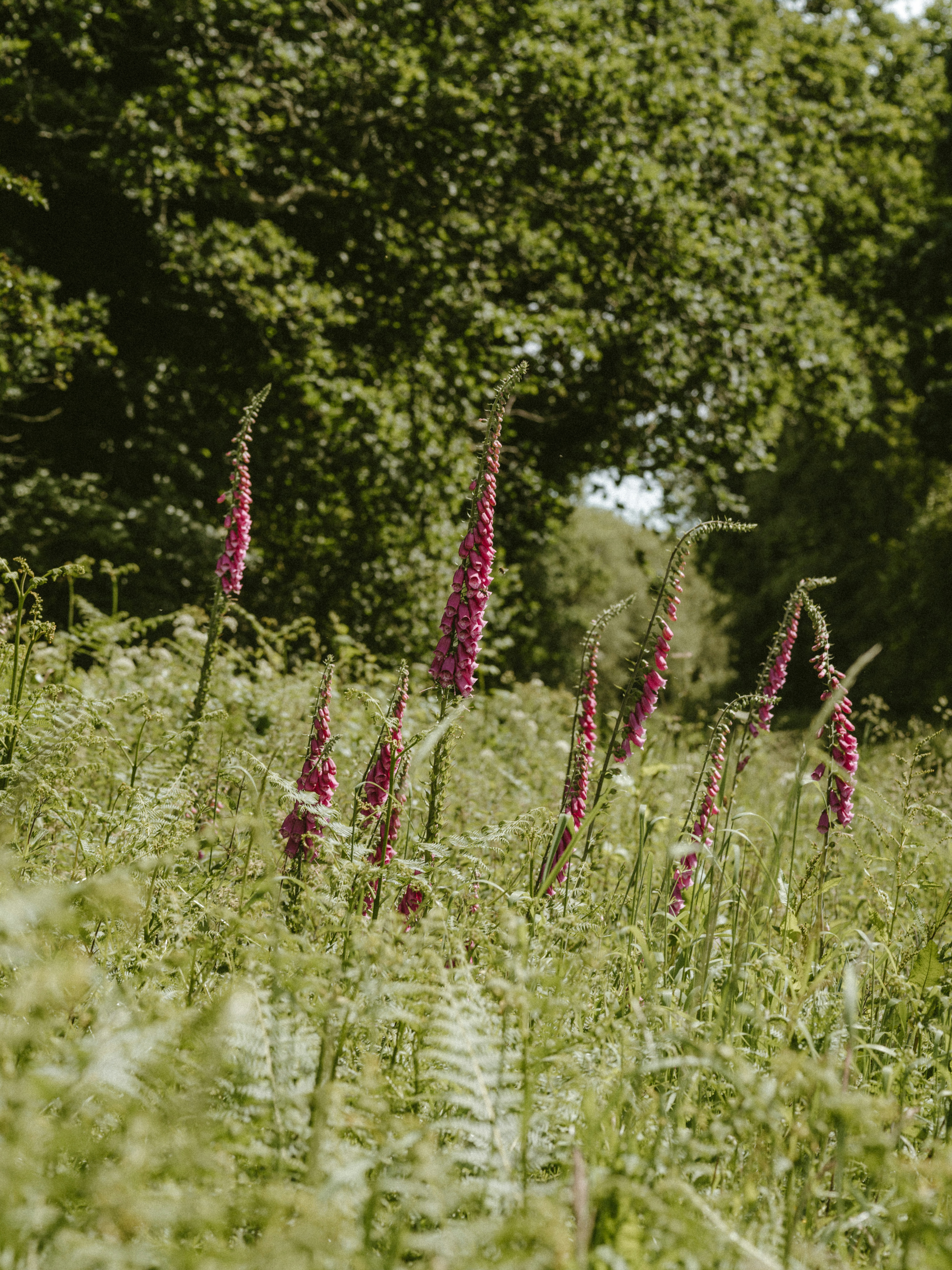 Photo by anniespratt