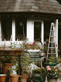 A cozy garden scene featuring a variety of potted plants and flowers arranged in front of a rustic building with a tiled roof. There is a metal watering can, a wooden ladder-like structure, and several clay and metal pots on the ground. The area is lush with greenery, and brightly colored flowers in pink and red add to the vibrant setting.