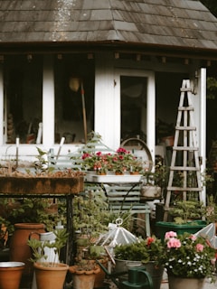 A cozy garden scene featuring a variety of potted plants and flowers arranged in front of a rustic building with a tiled roof. There is a metal watering can, a wooden ladder-like structure, and several clay and metal pots on the ground. The area is lush with greenery, and brightly colored flowers in pink and red add to the vibrant setting.