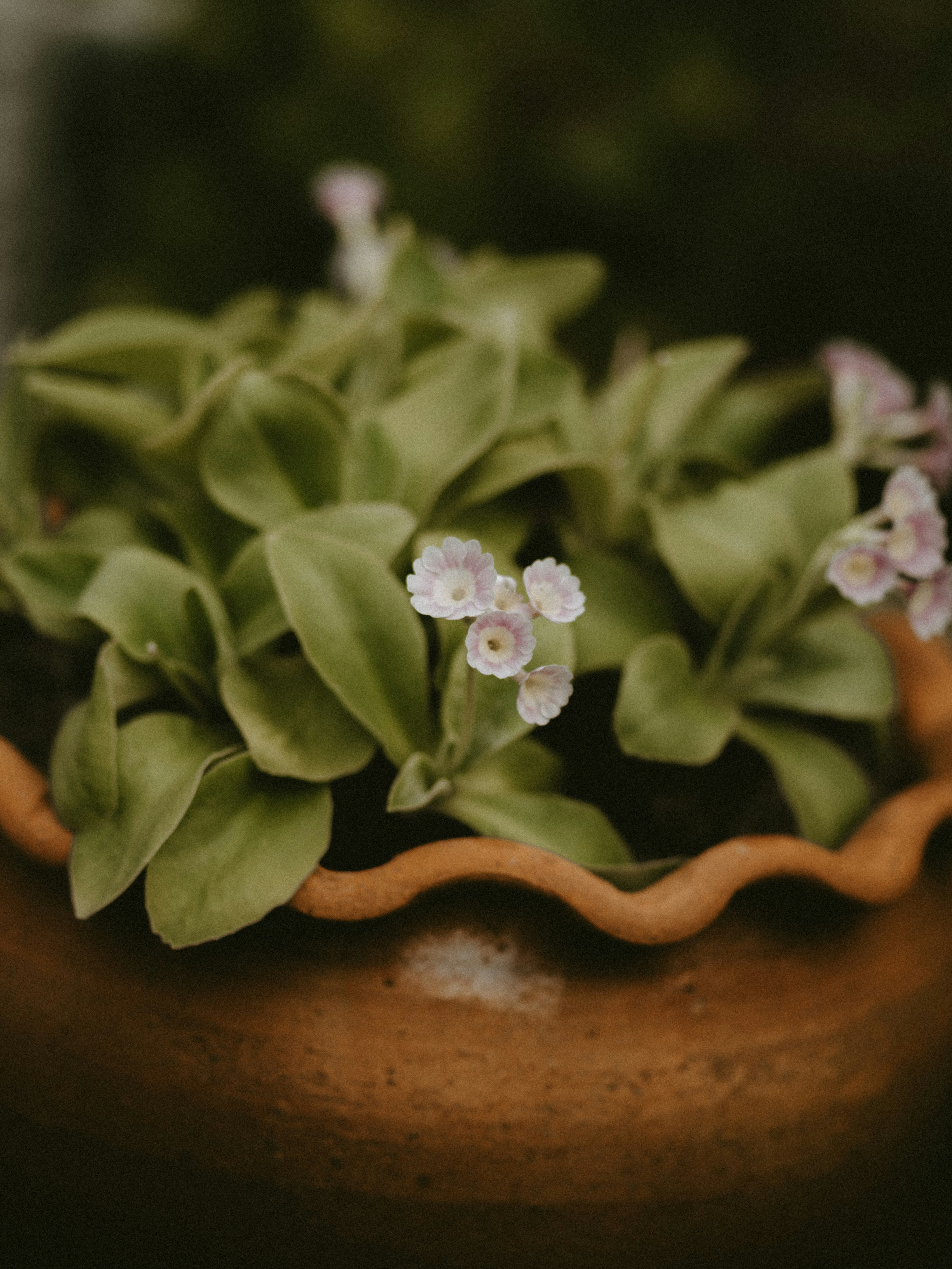 Photo by anniespratt