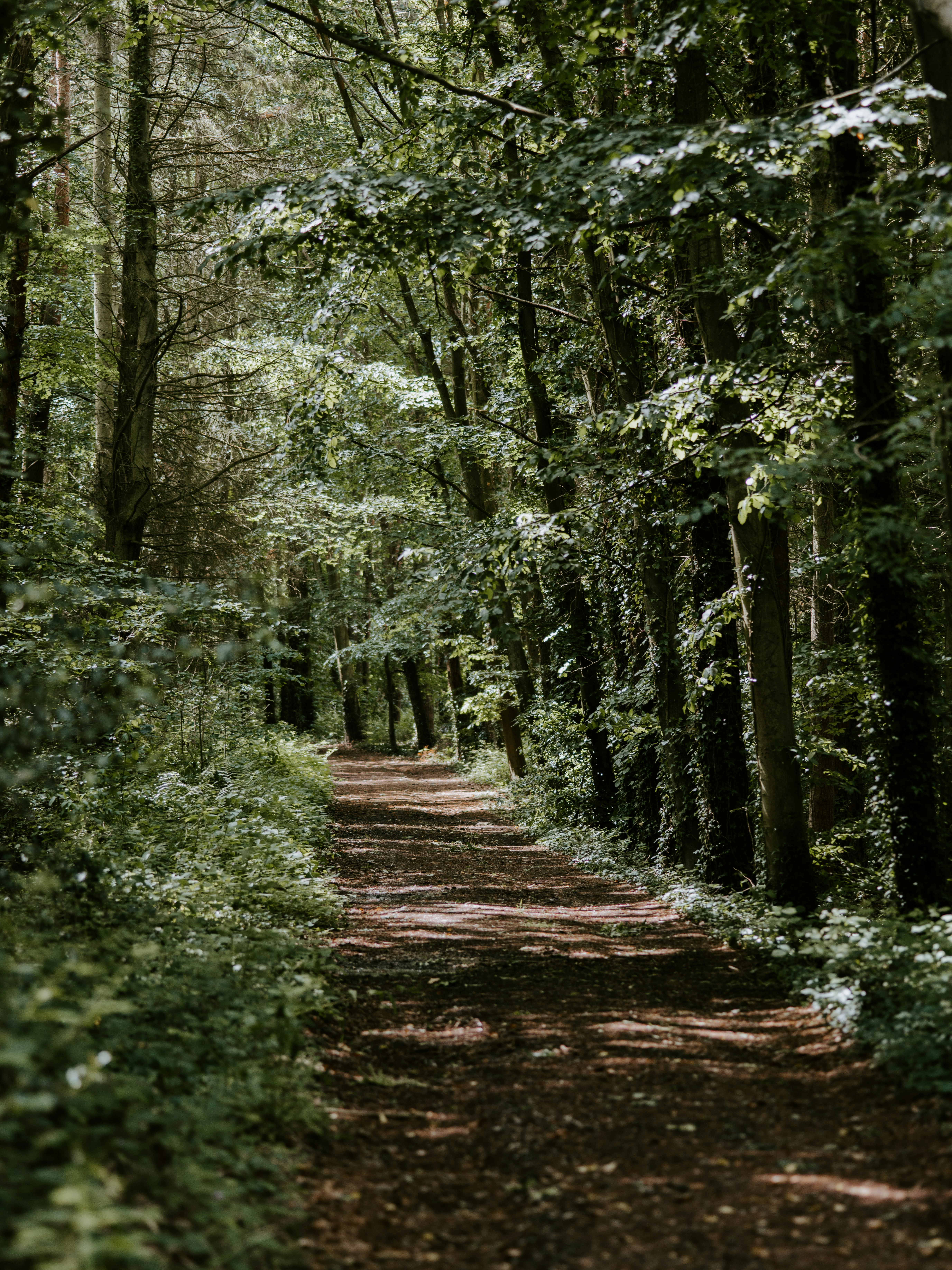 Photo by anniespratt