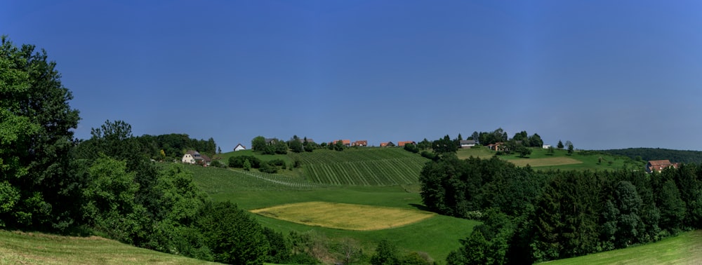 green open field surrounded with tall and green trees under blue and white skies