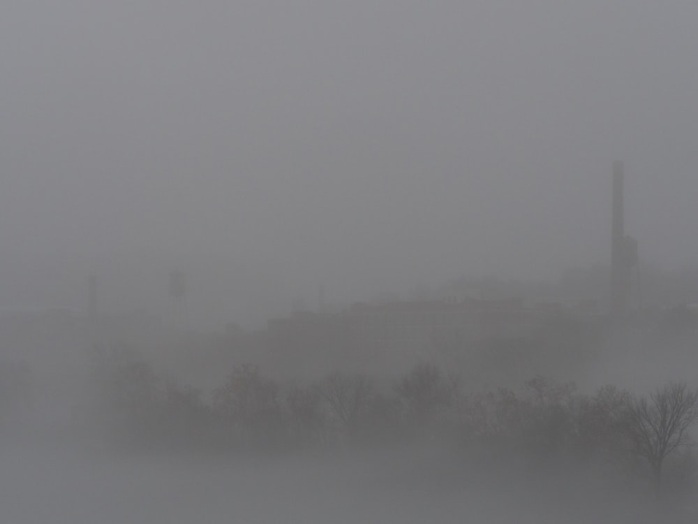 colline couverte de brouillard