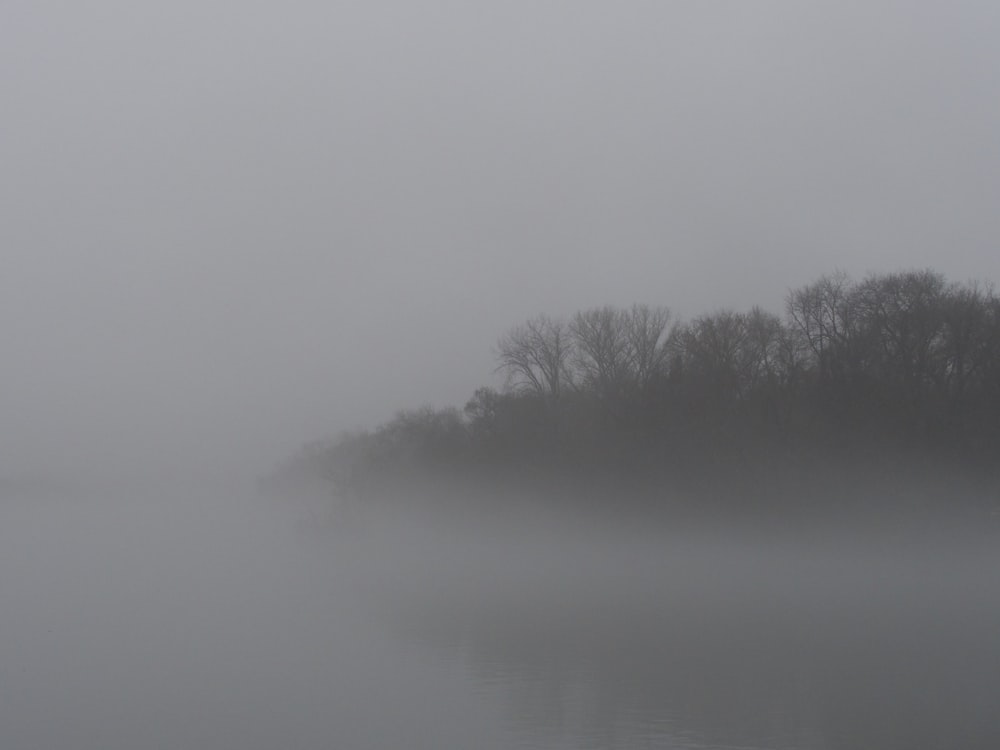 ein Gewässer, umgeben von Nebel und Bäumen