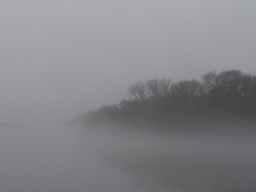 a body of water surrounded by fog and trees