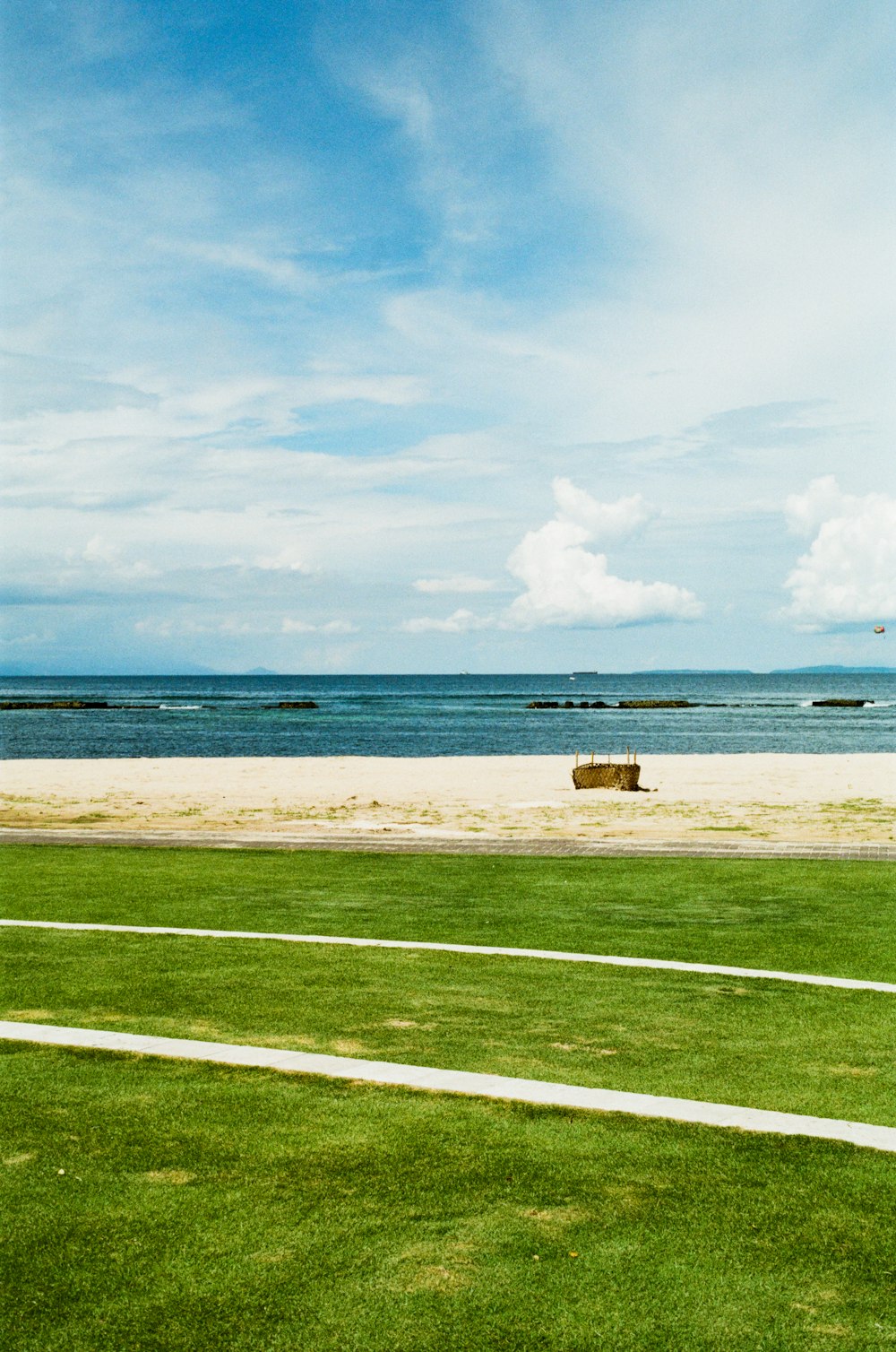 grass field near seashore