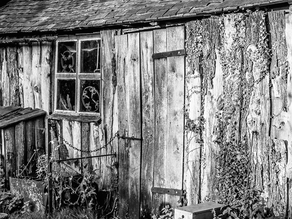 grayscale photography of a wooden shack