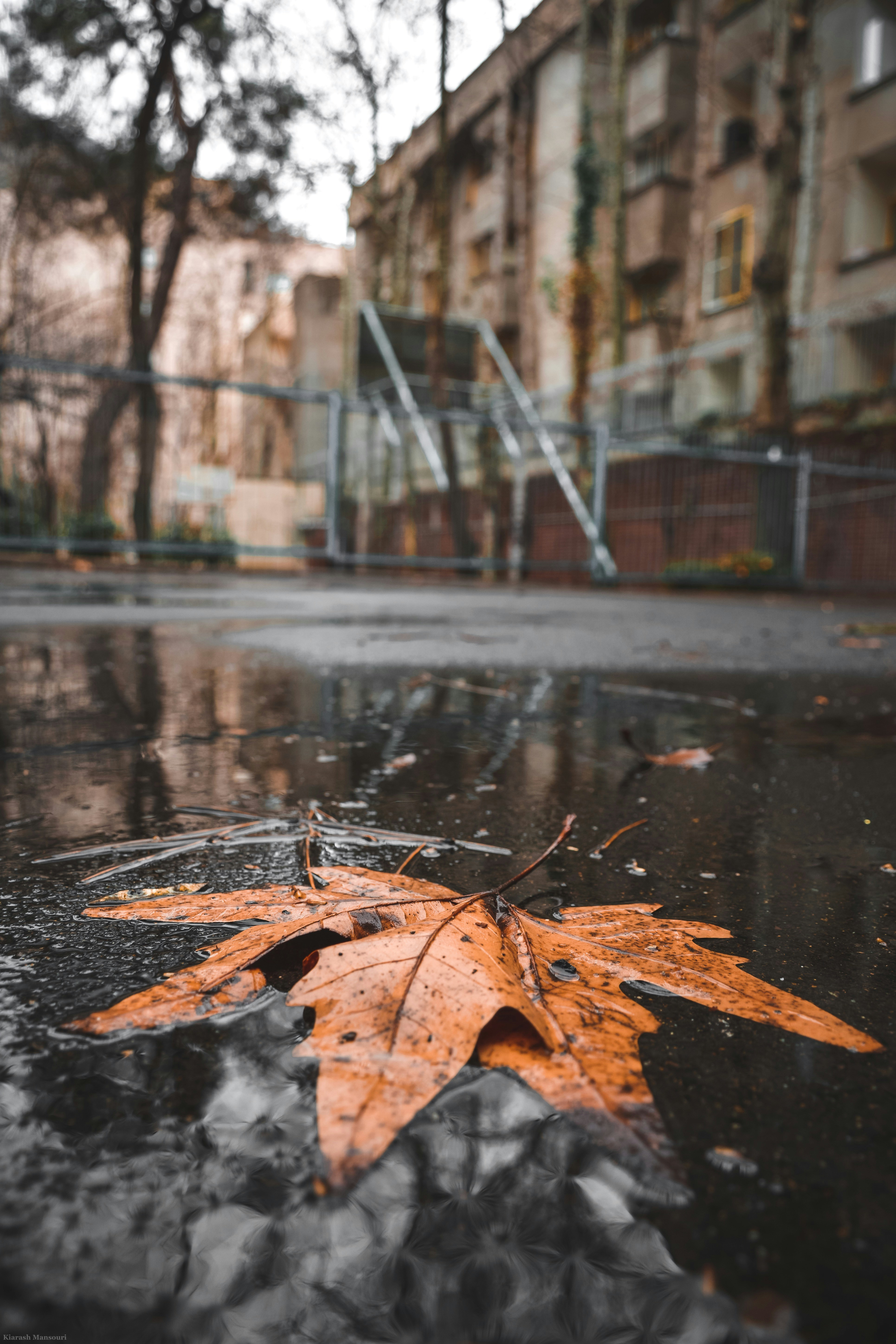 Photo by kiarash_mansouri