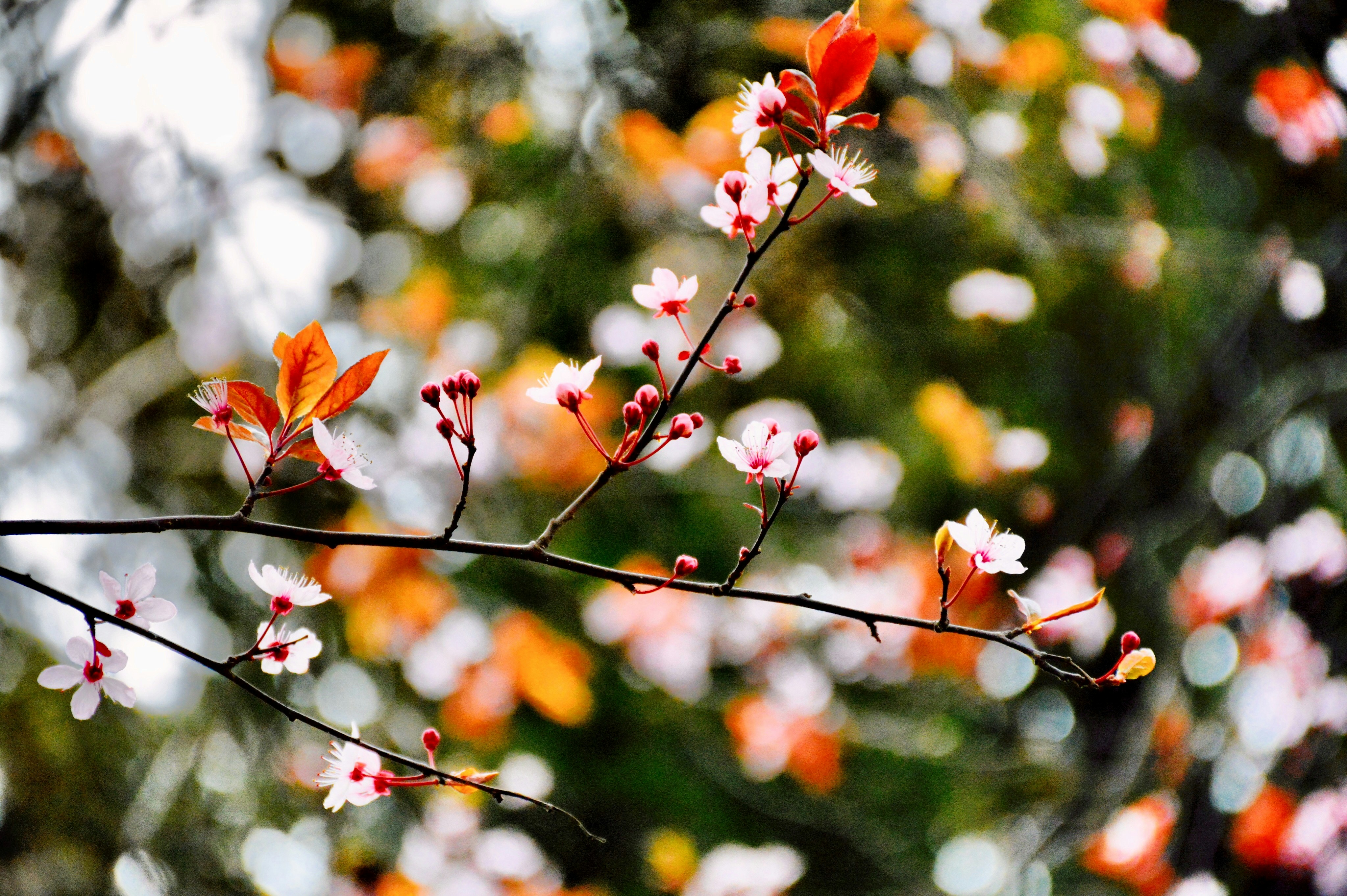 Photo by kiarash_mansouri