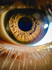 brown eye