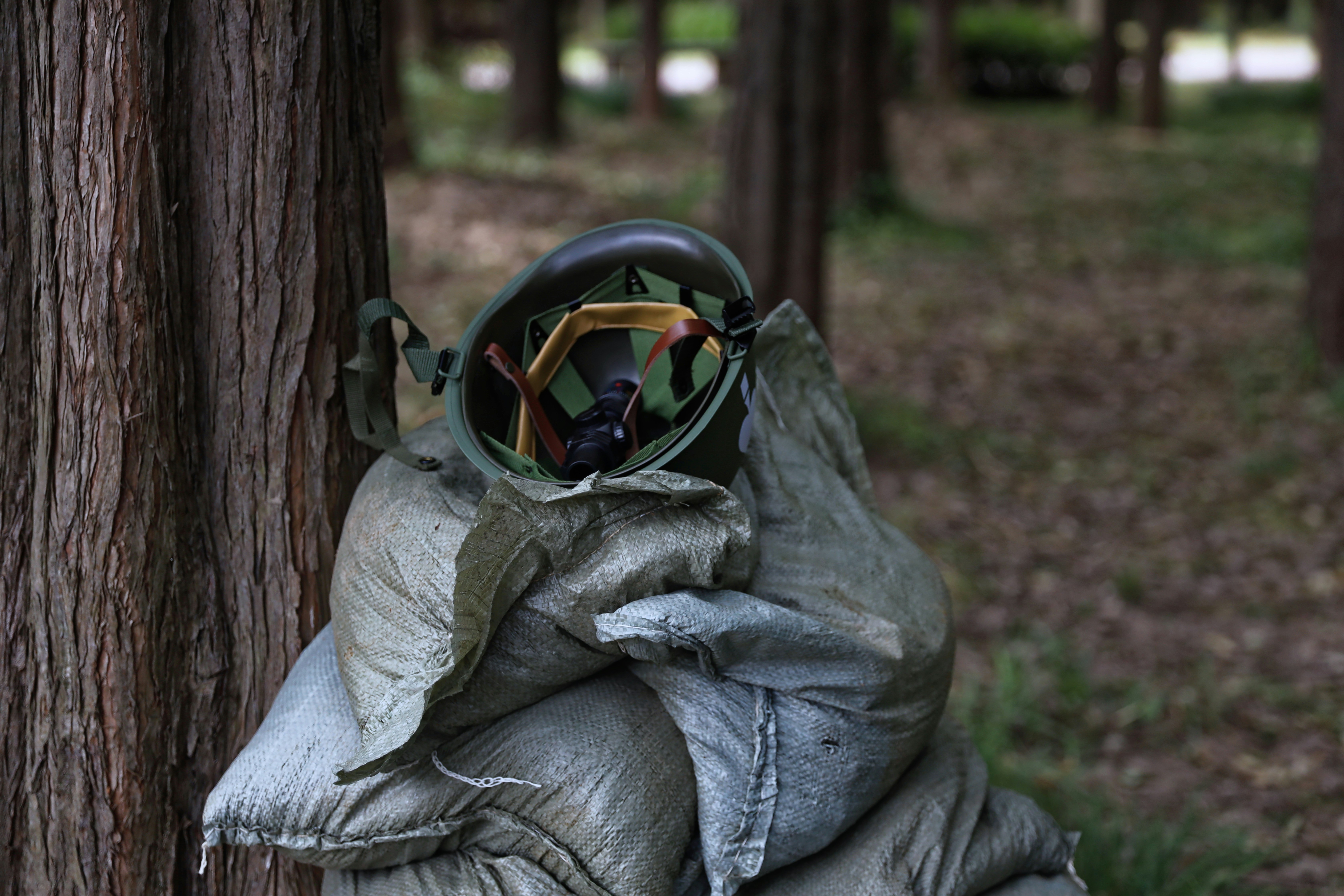 photo 1560177190 52e5fde03439?ixlib=rb 4.0