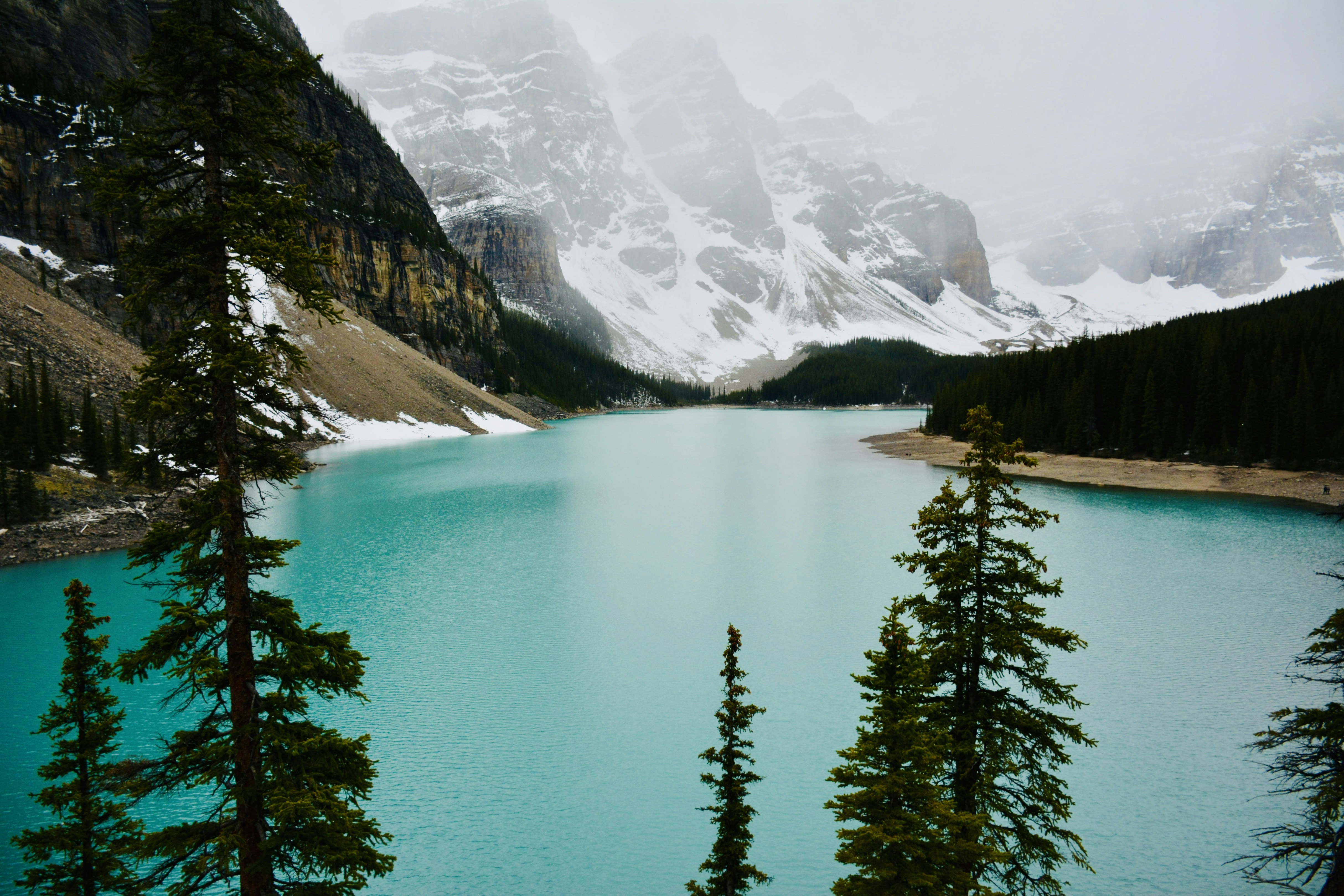 Photo by moonfallmedia