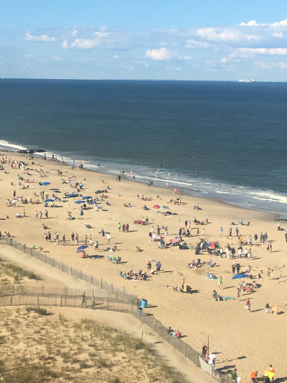 people on beach during daytime