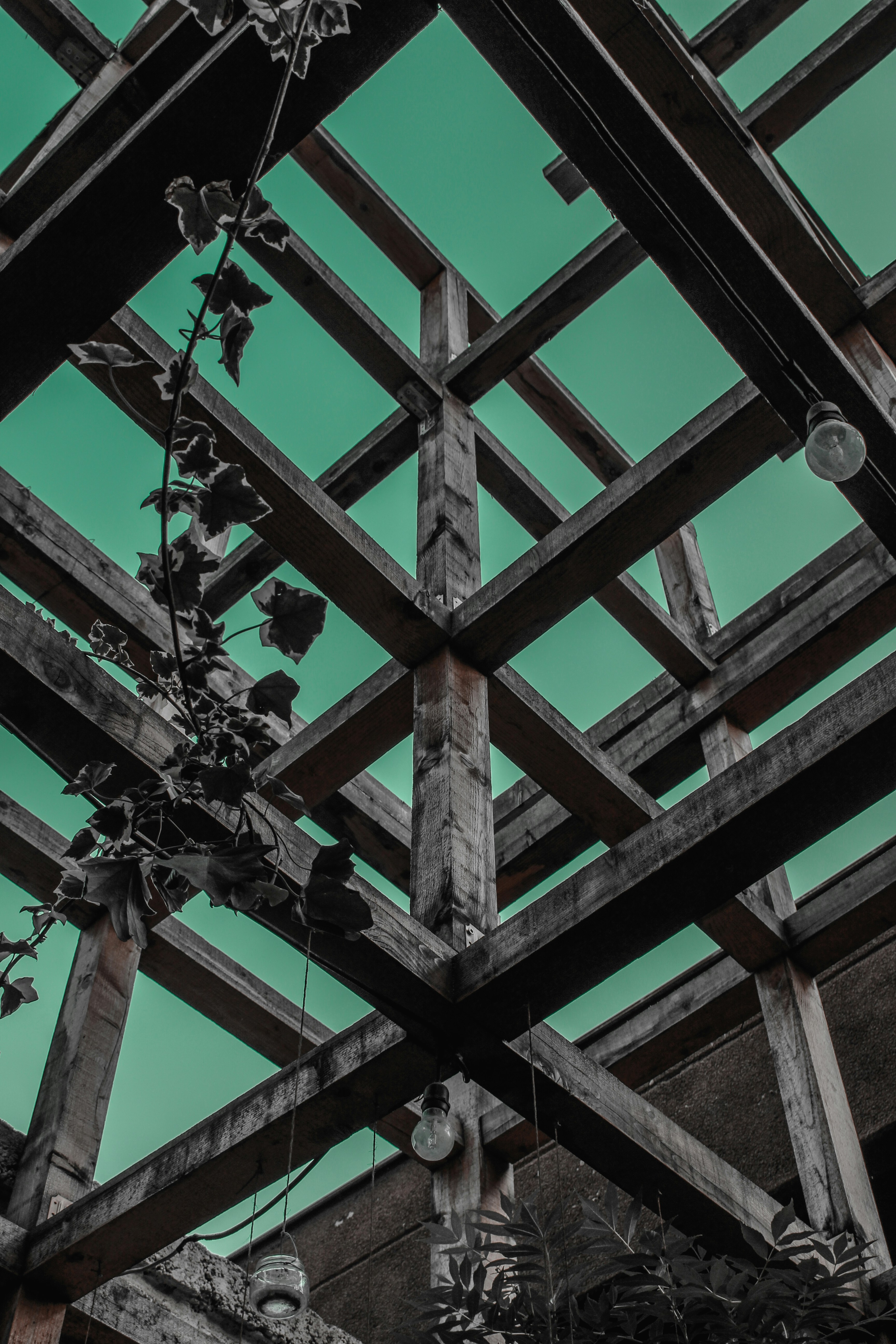 Photo by anikolleshi