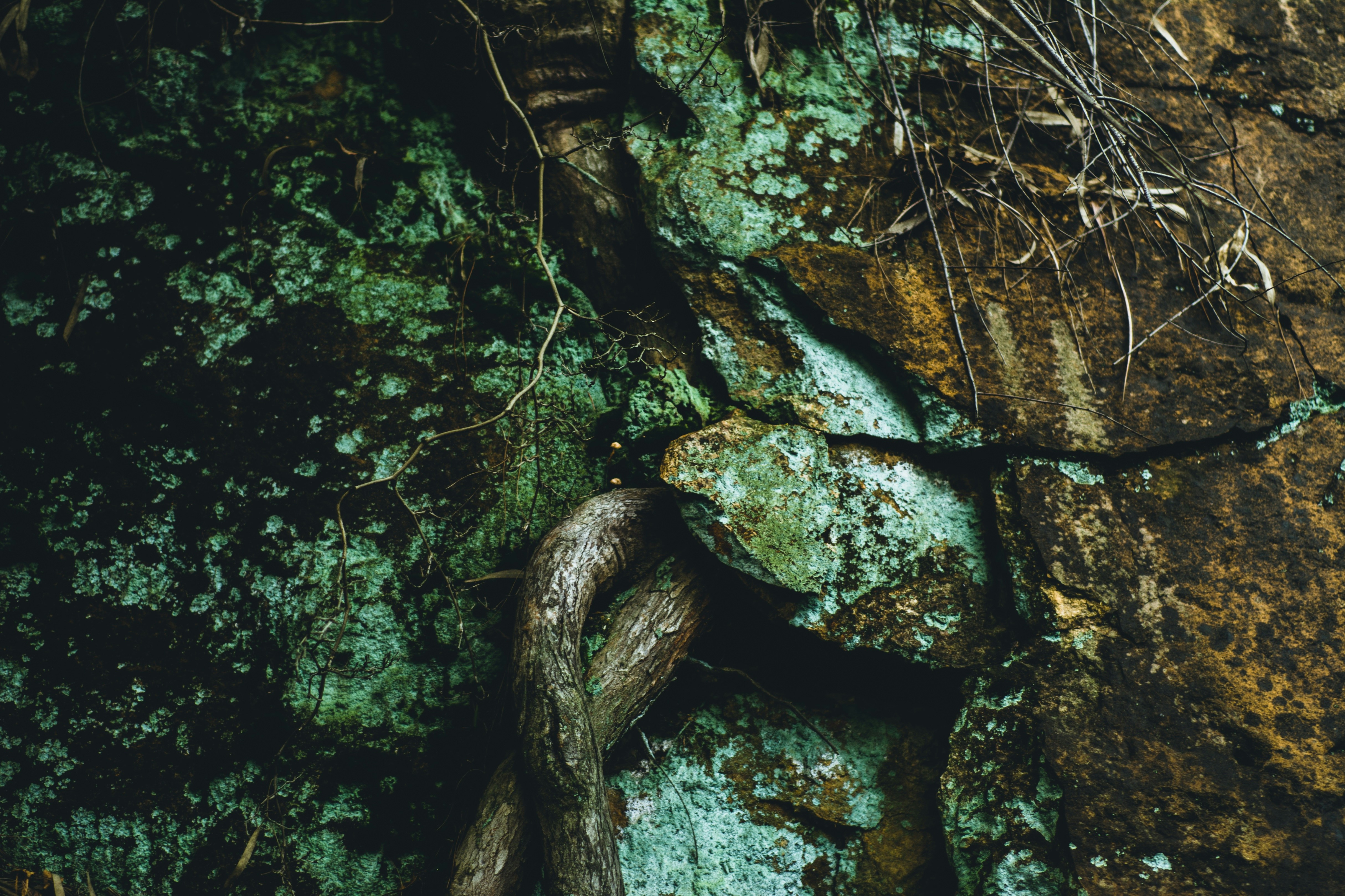 Photo by hellomarine