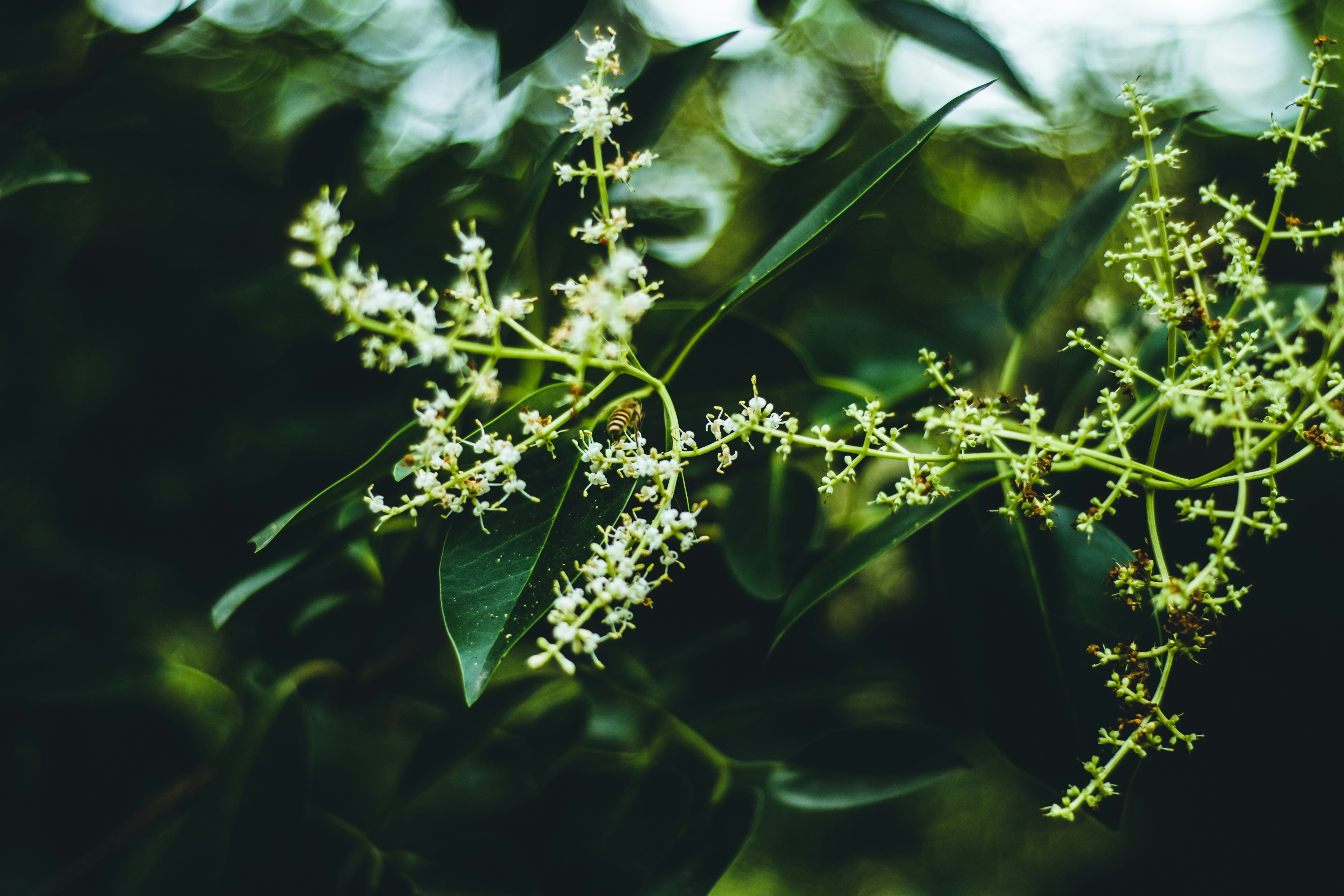 Photo by hellomarine