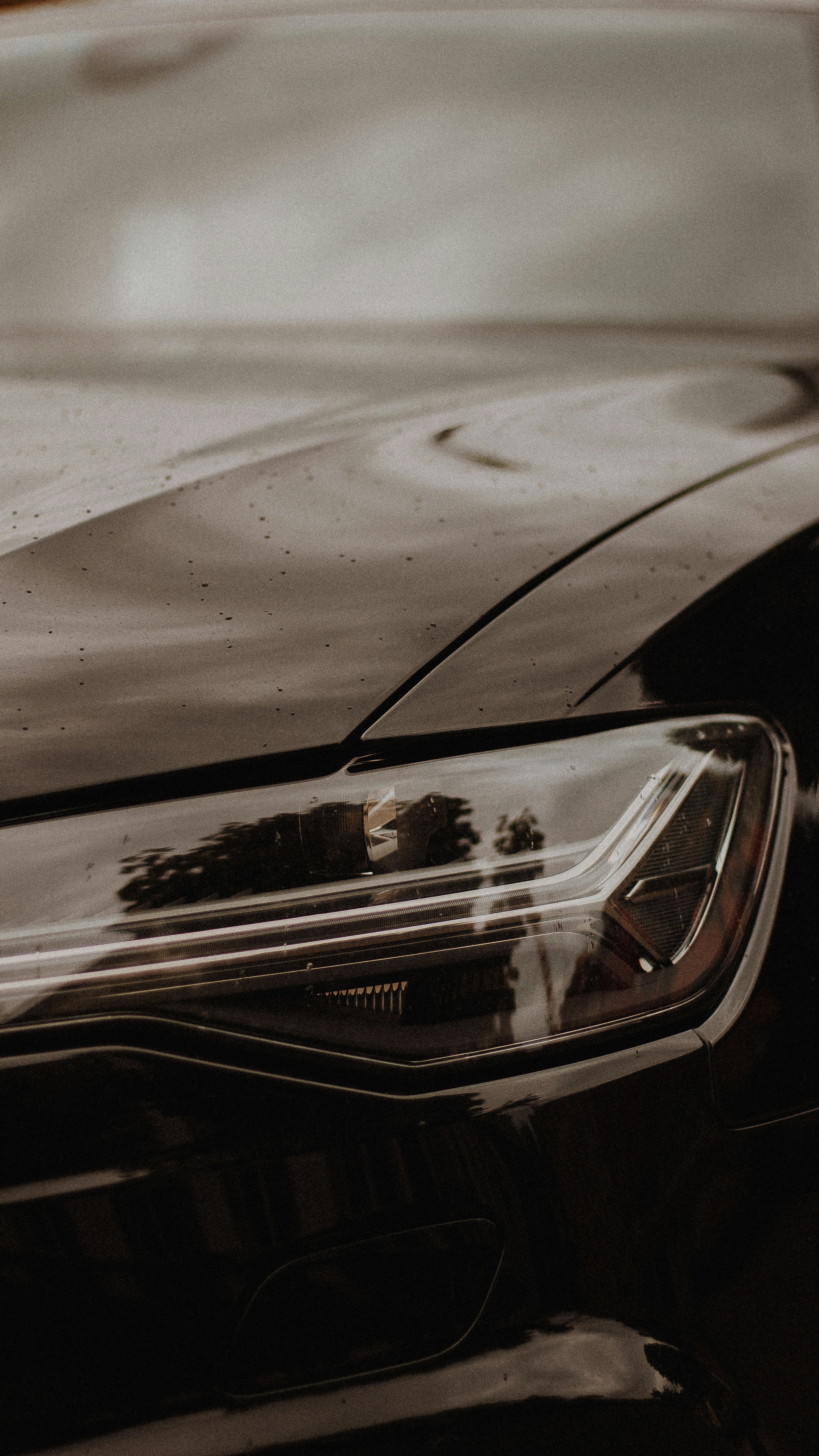 Photo by pascallfrei