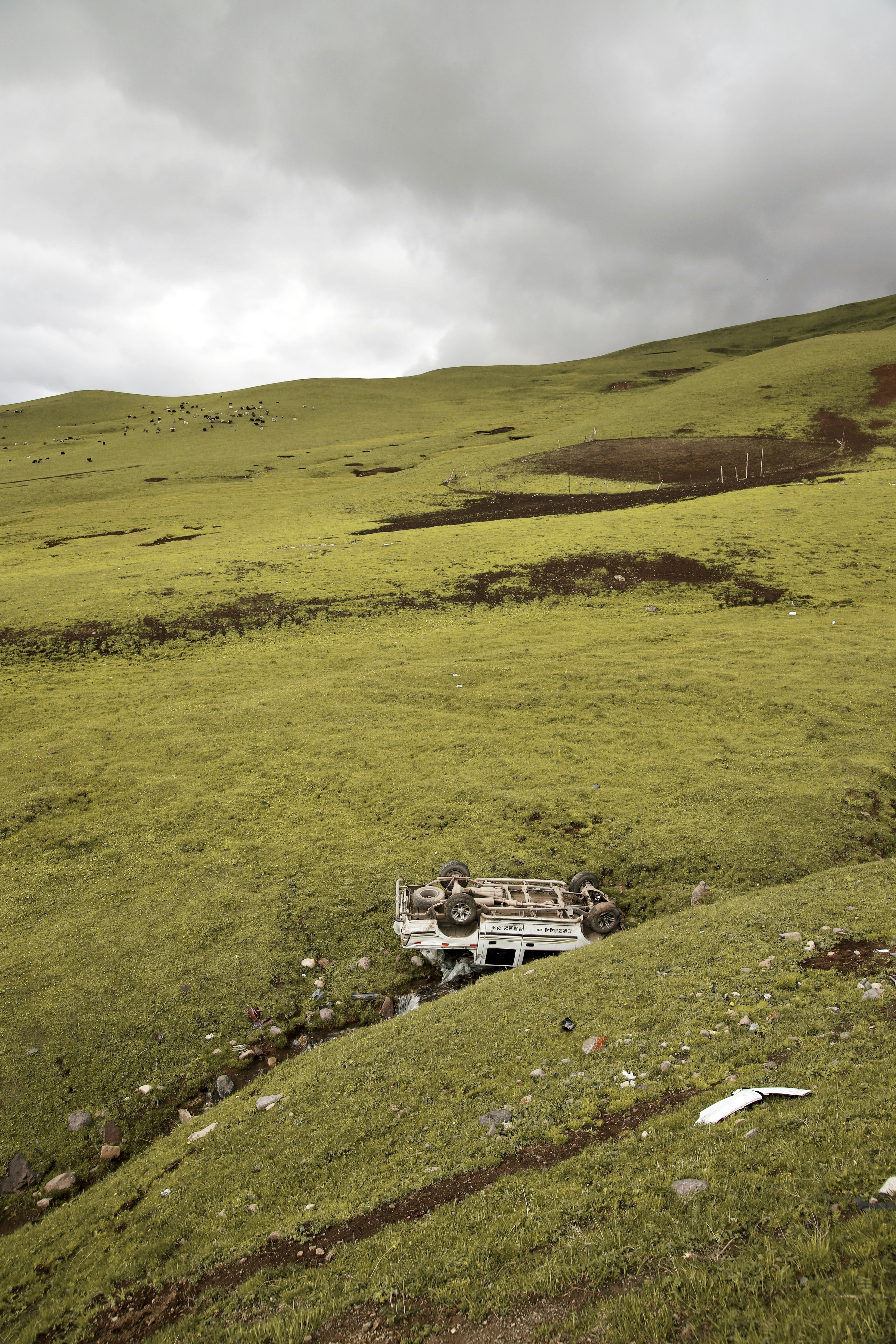 Canon EOS 6D Mark II sample photo. White vehicle on green photography