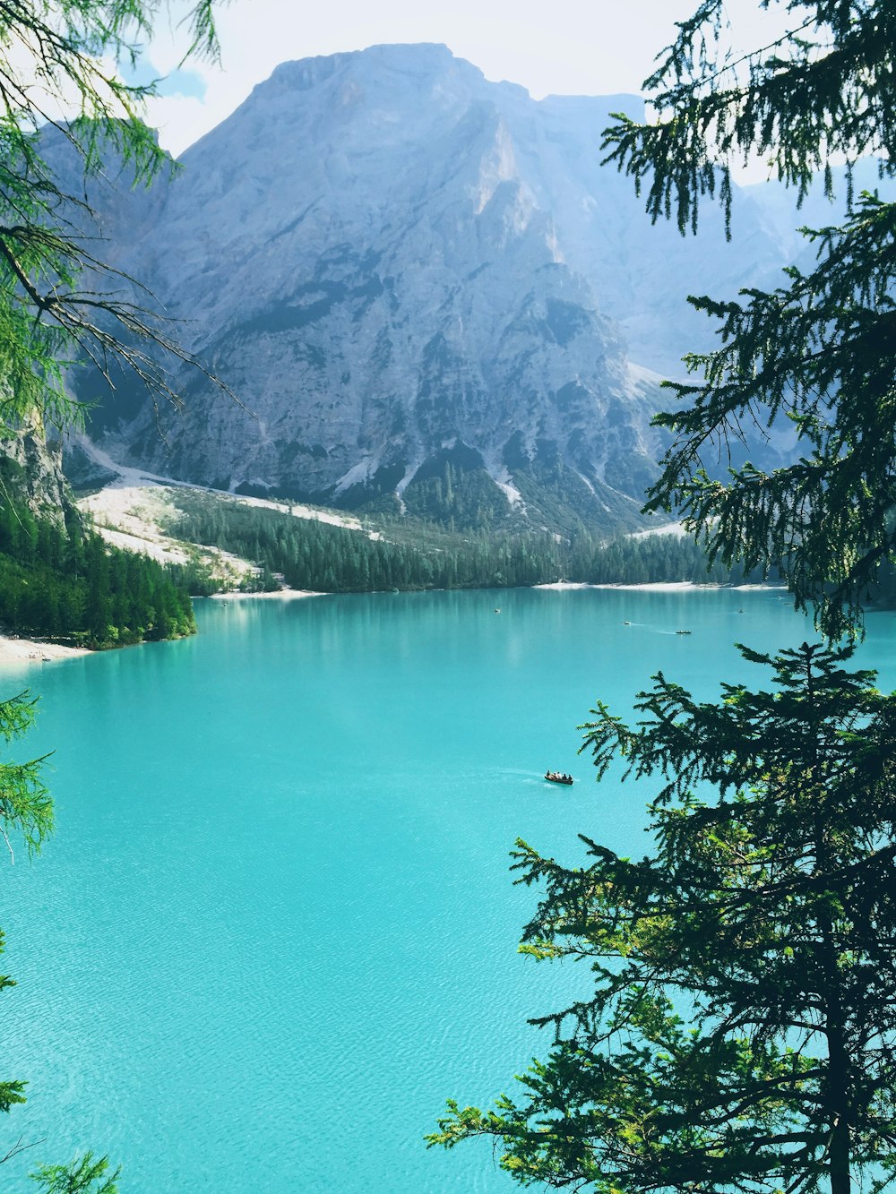 trees and mountain beside body of water during daytime