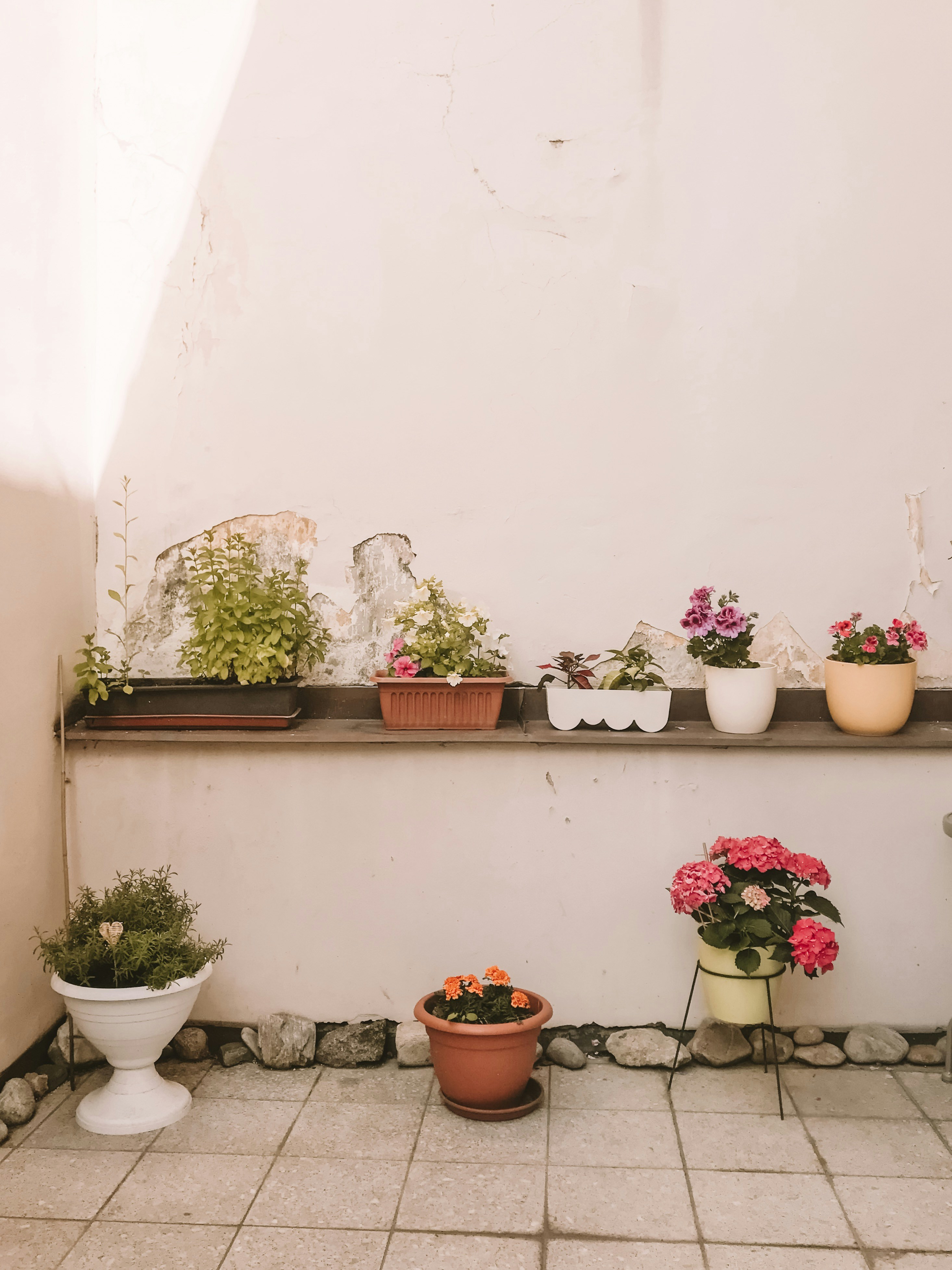 Photo by charlotablunarova